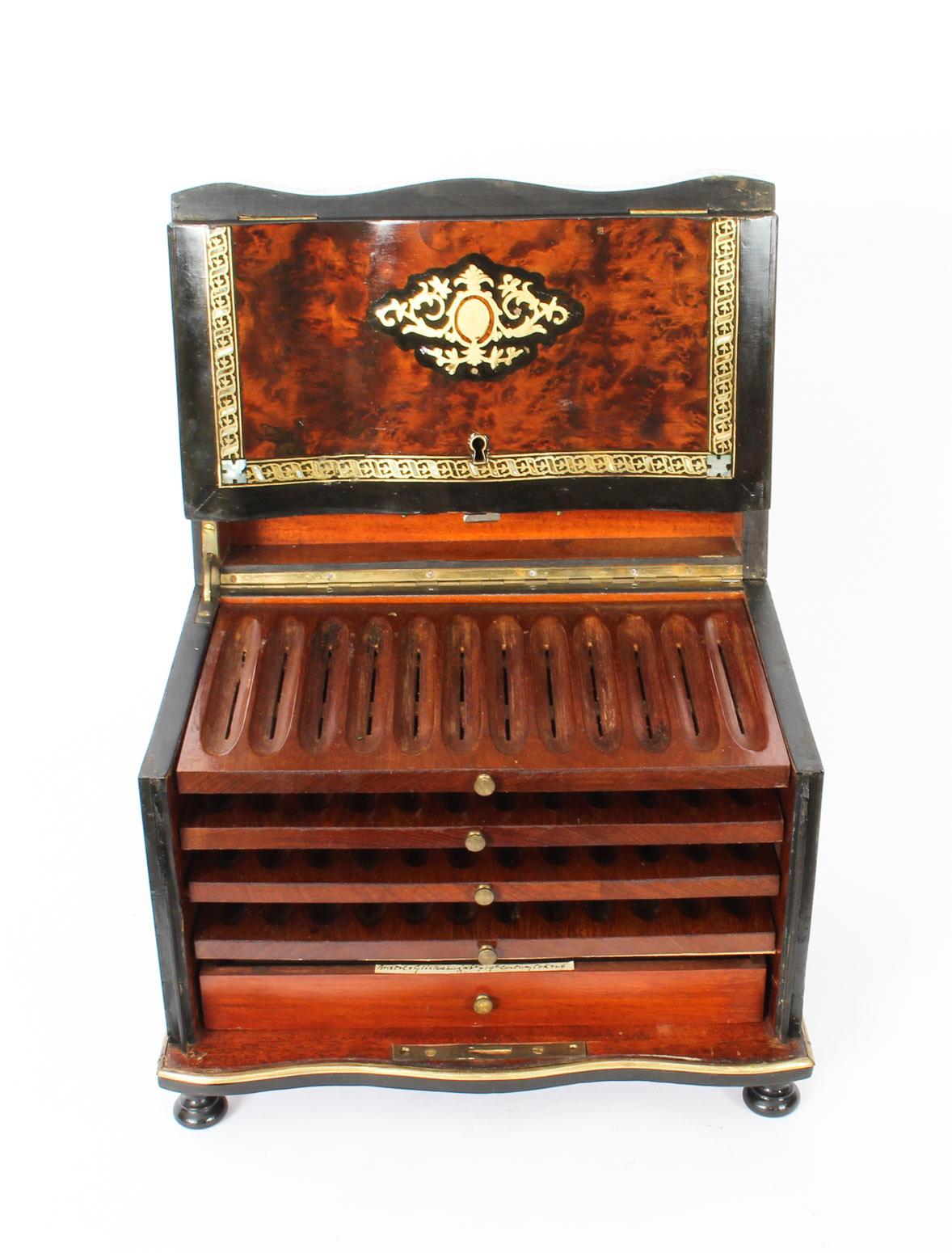 English 19th Century Victorian Burr Walnut & Boule Serpentine Humidor