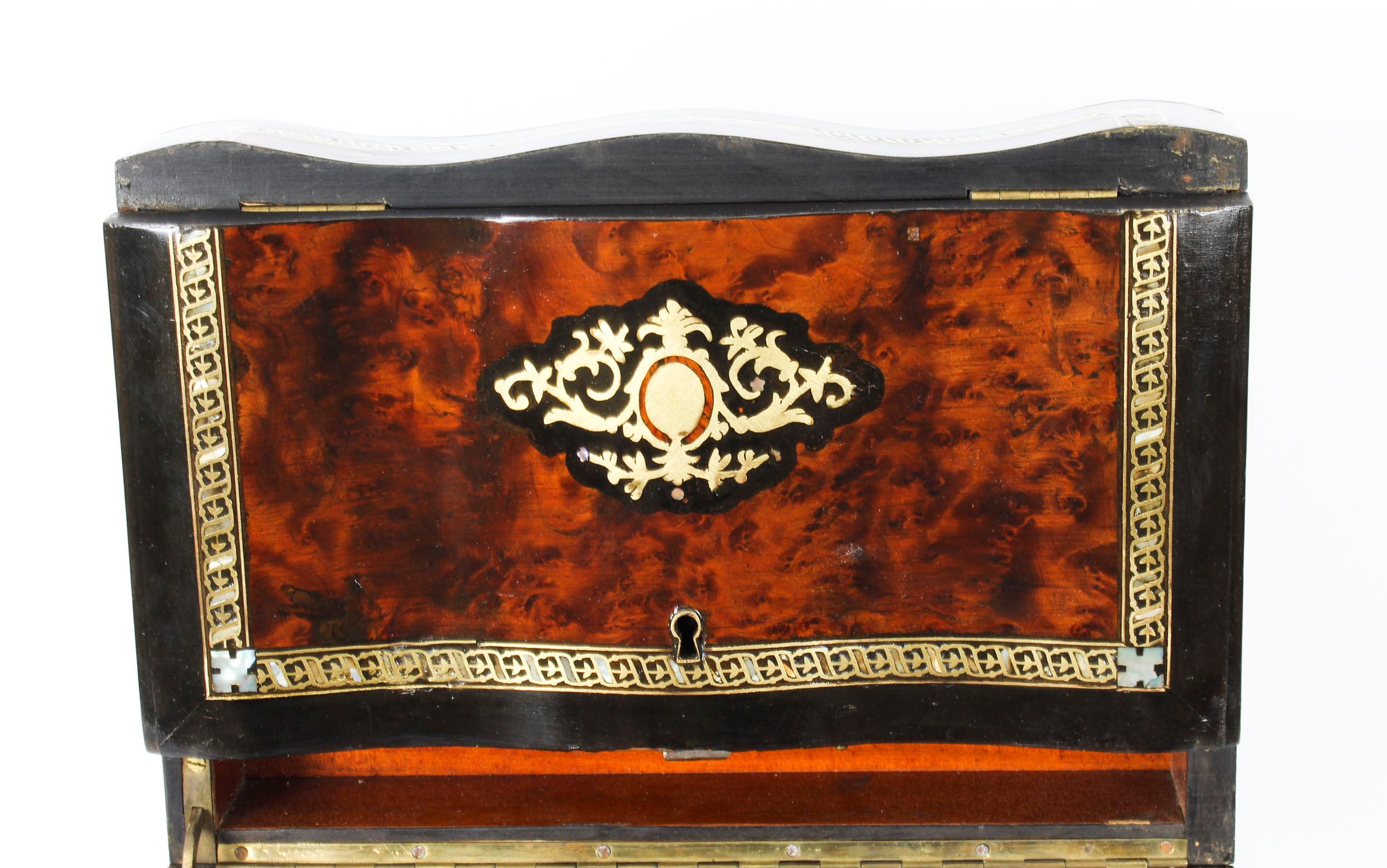 19th Century Victorian Burr Walnut & Boule Serpentine Humidor 2