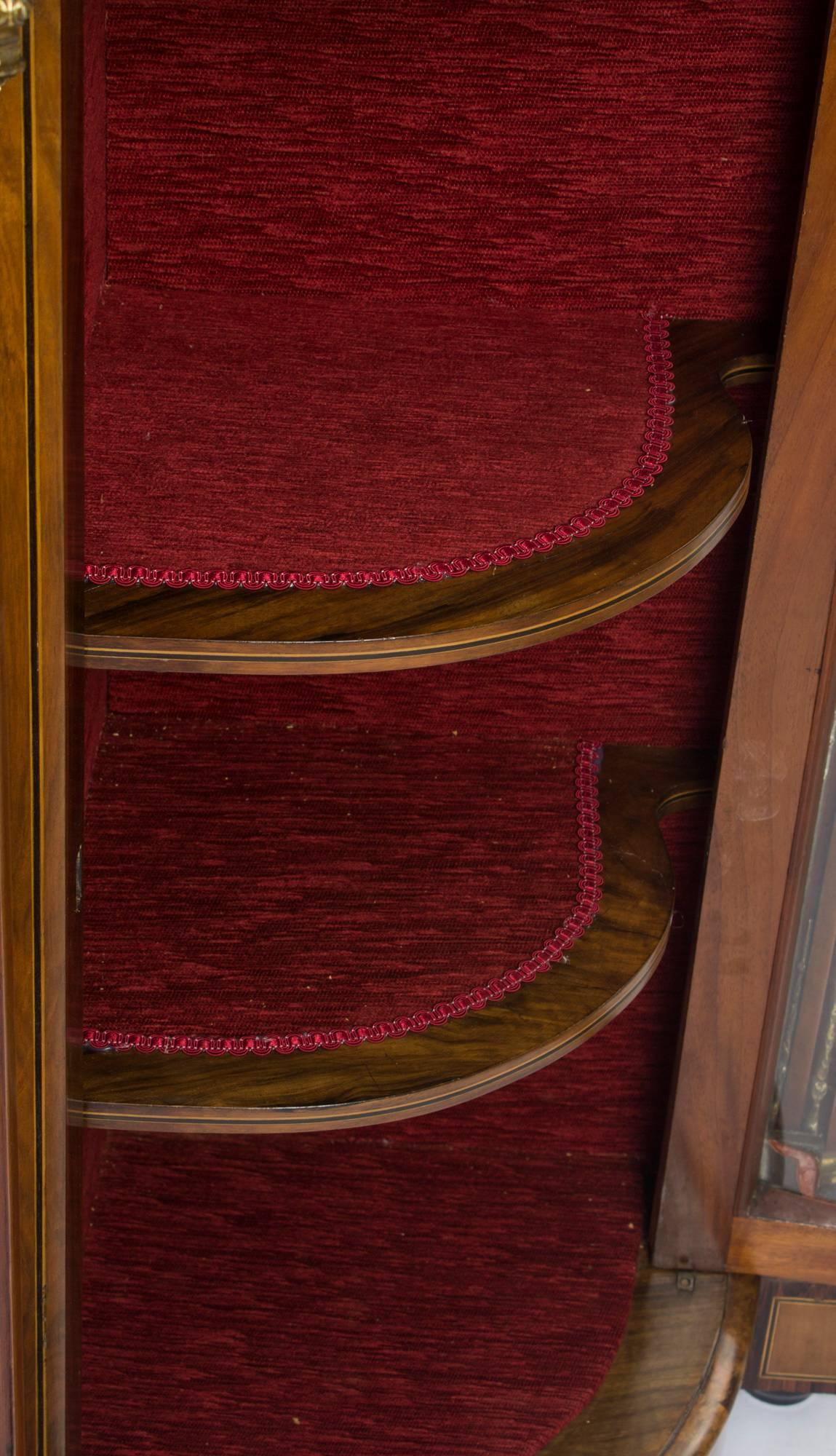 19th Century Victorian Burr Walnut Inlaid Credenza Side Cabinet 3