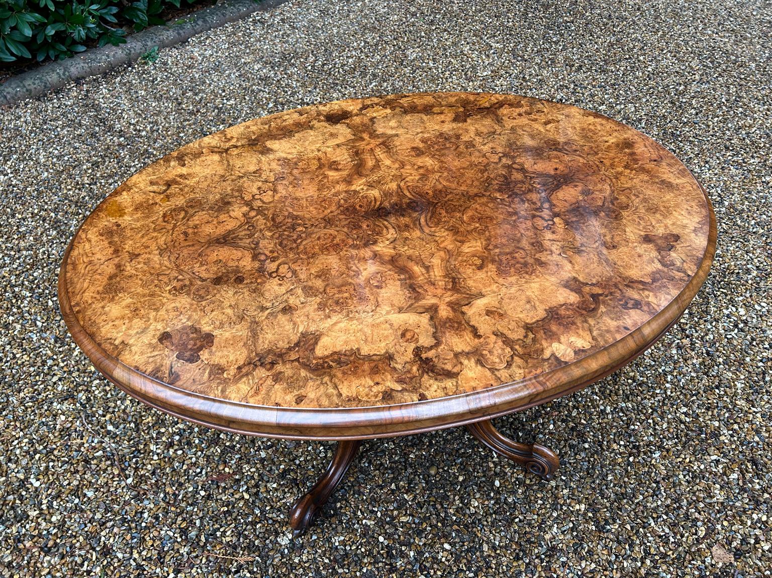 19th Century Victorian Burr Walnut Oval Tilt-Top Breakfast Table For Sale 2