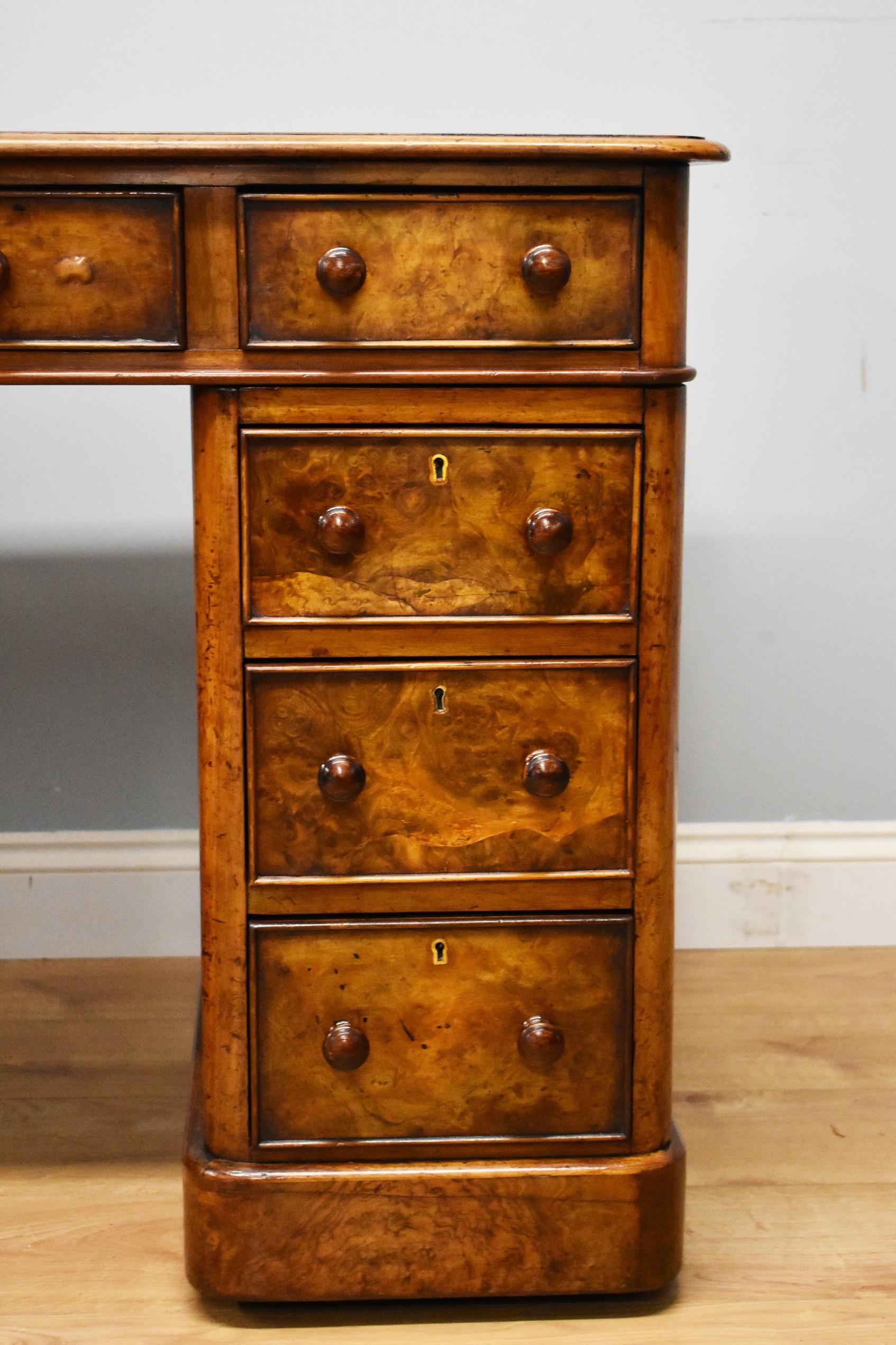 19th Century Victorian Burr Walnut Pedestal Desk (Viktorianisch)