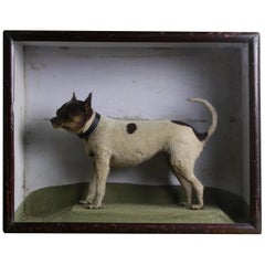 19th Century Victorian Cased "The Rat Catcher" Taxidermy Rat Terrier Dog