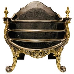 19th Century Victorian Fire Basket Grate in the Rococo Style