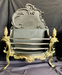 19th Century Victorian French Rococo Style Brass & Iron Fire Grate Basket