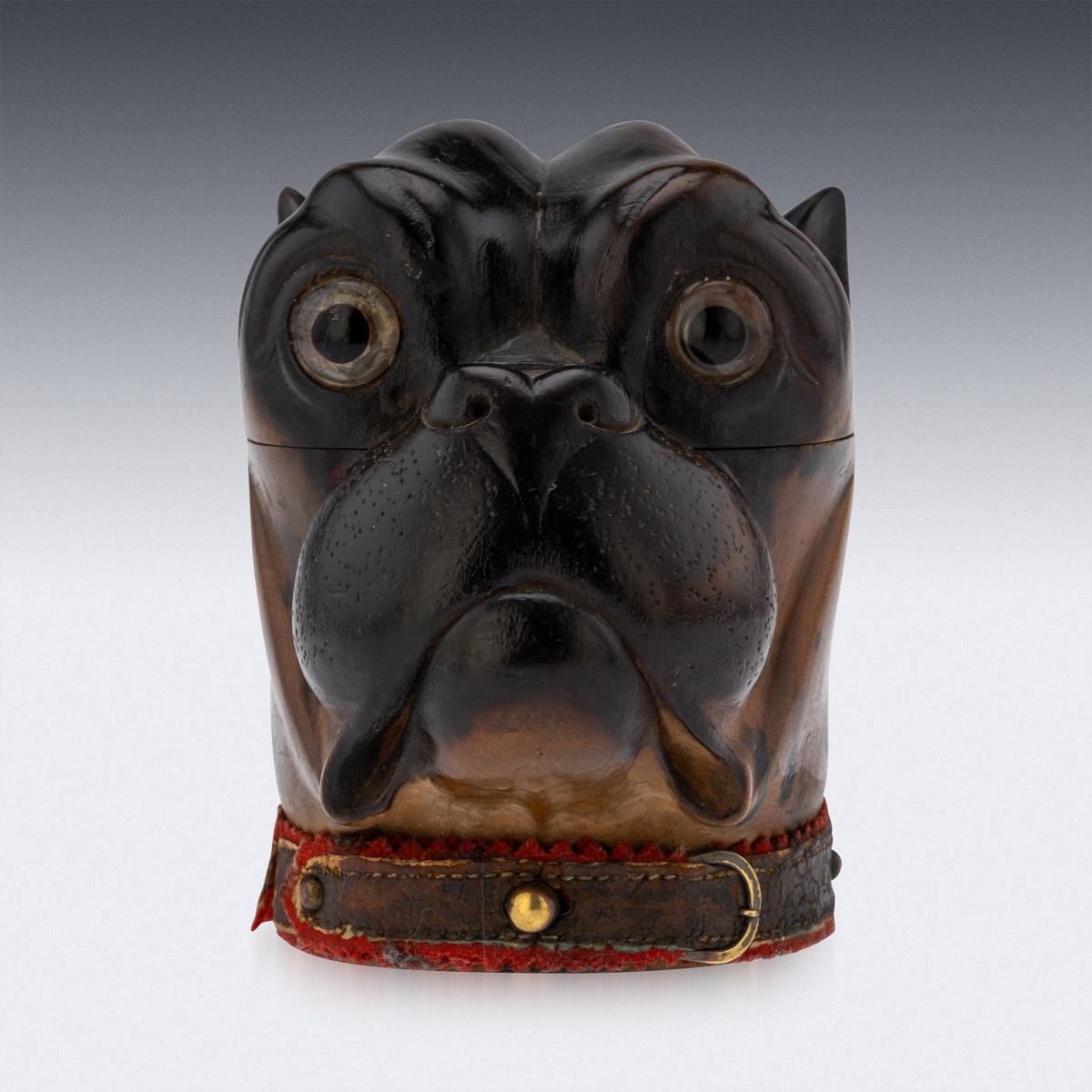 Viktorianisches Lignum-vitae-Tintenfass aus dem 19. Jahrhundert, modelliert als Kopf einer Bulldogge mit realistisch eingesetzten Glasaugen, originales Lederhalsband mit Kupferdruckknopf und silberner Präsentationsplakette auf der Rückseite (auf