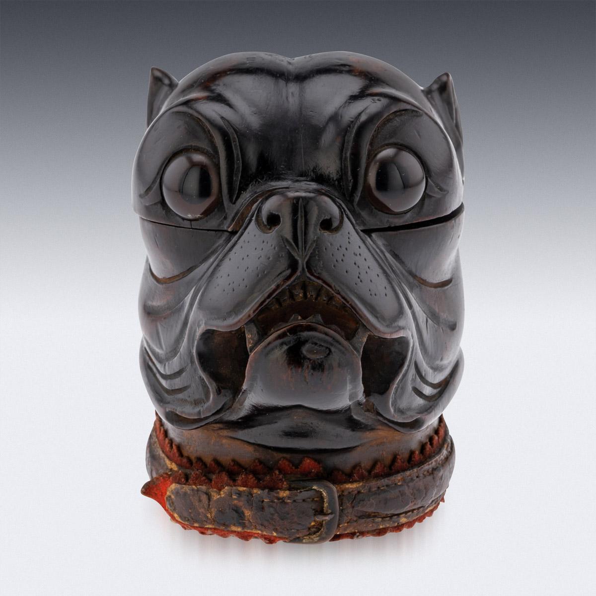Viktorianisches Lignum-vitae-Tintenfass aus dem 19. Jahrhundert, modelliert als Kopf einer knurrenden Bulldogge mit realistisch eingesetzten Glasaugen, originales Lederhalsband mit Kupferschnalle. Der Kopf ist aufklappbar und gibt den Blick auf ein