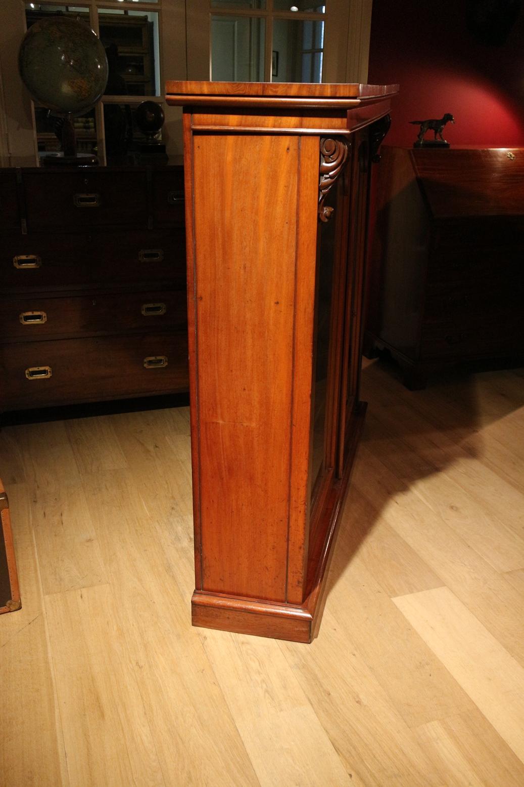 19th Century Victorian Mahogany Bookcase 3