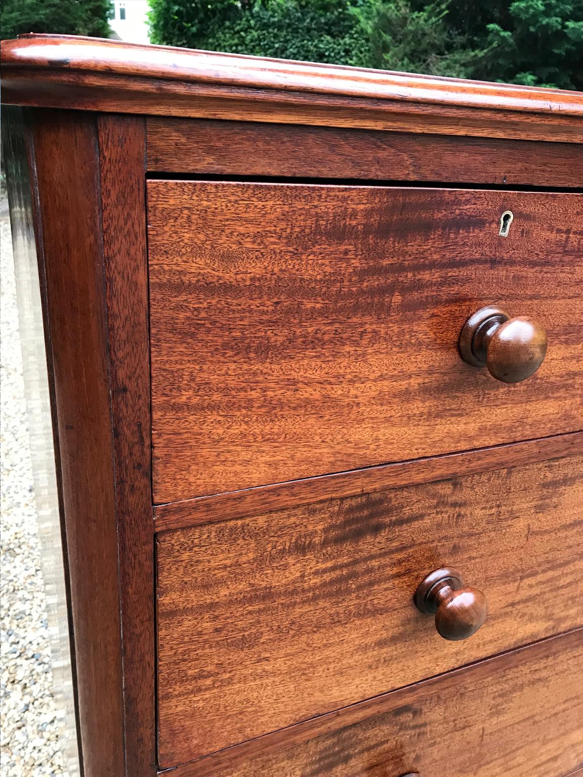 19th Century Victorian Mahogany Chest of Drawers For Sale 1