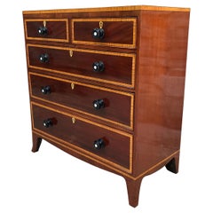 19th Century Victorian Mahogany Chest of Drawers with Bone Inlays