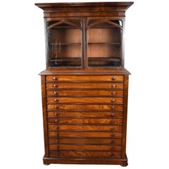 19th Century Victorian Mahogany Collectors Cabinet