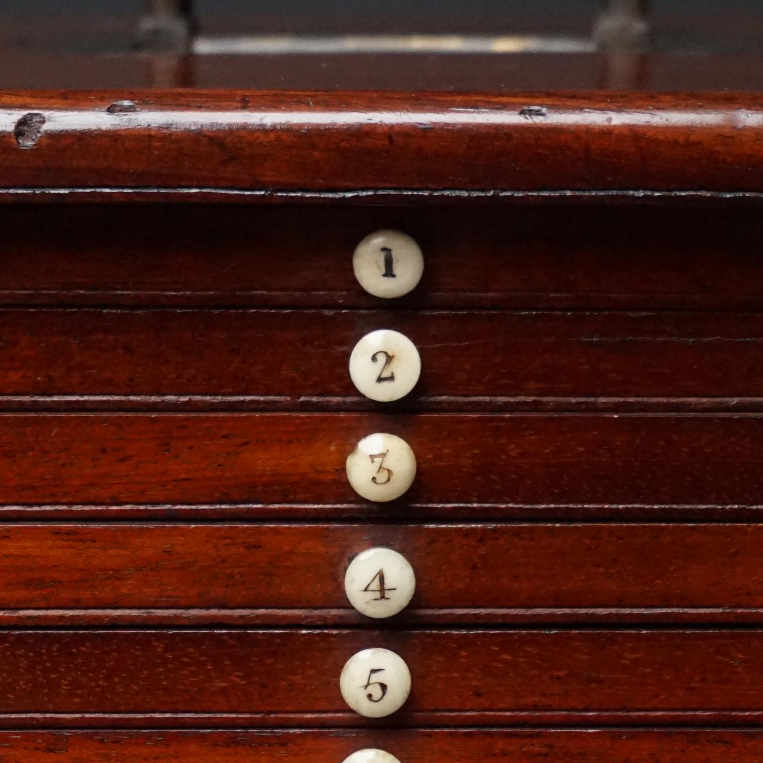 19th Century Victorian Mahogany Microscope Slide Cabinet, 12 Drawers, 72 Slides 5