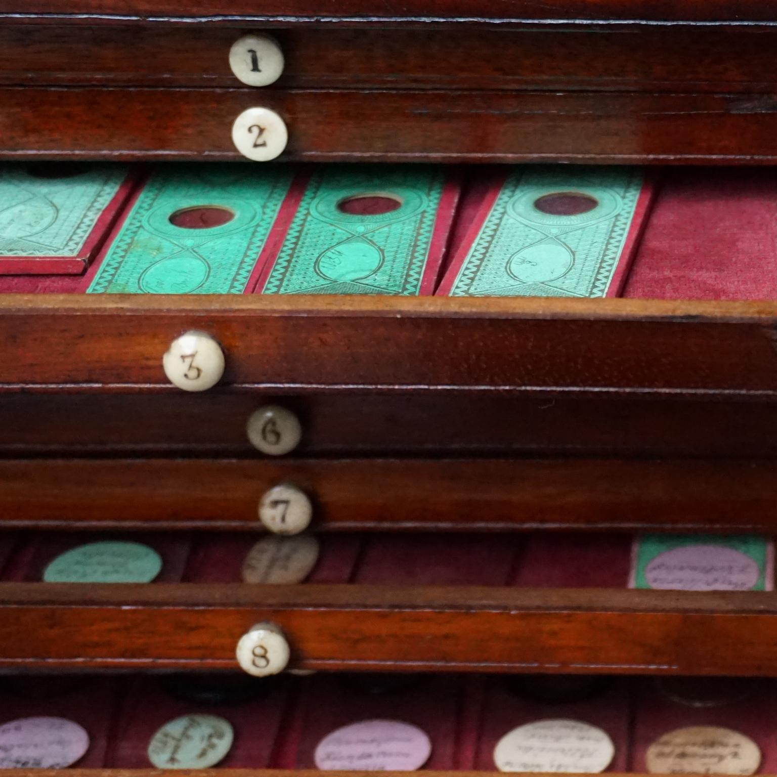 19th Century Victorian Mahogany Microscope Slide Cabinet, 12 Drawers, 72 Slides 6