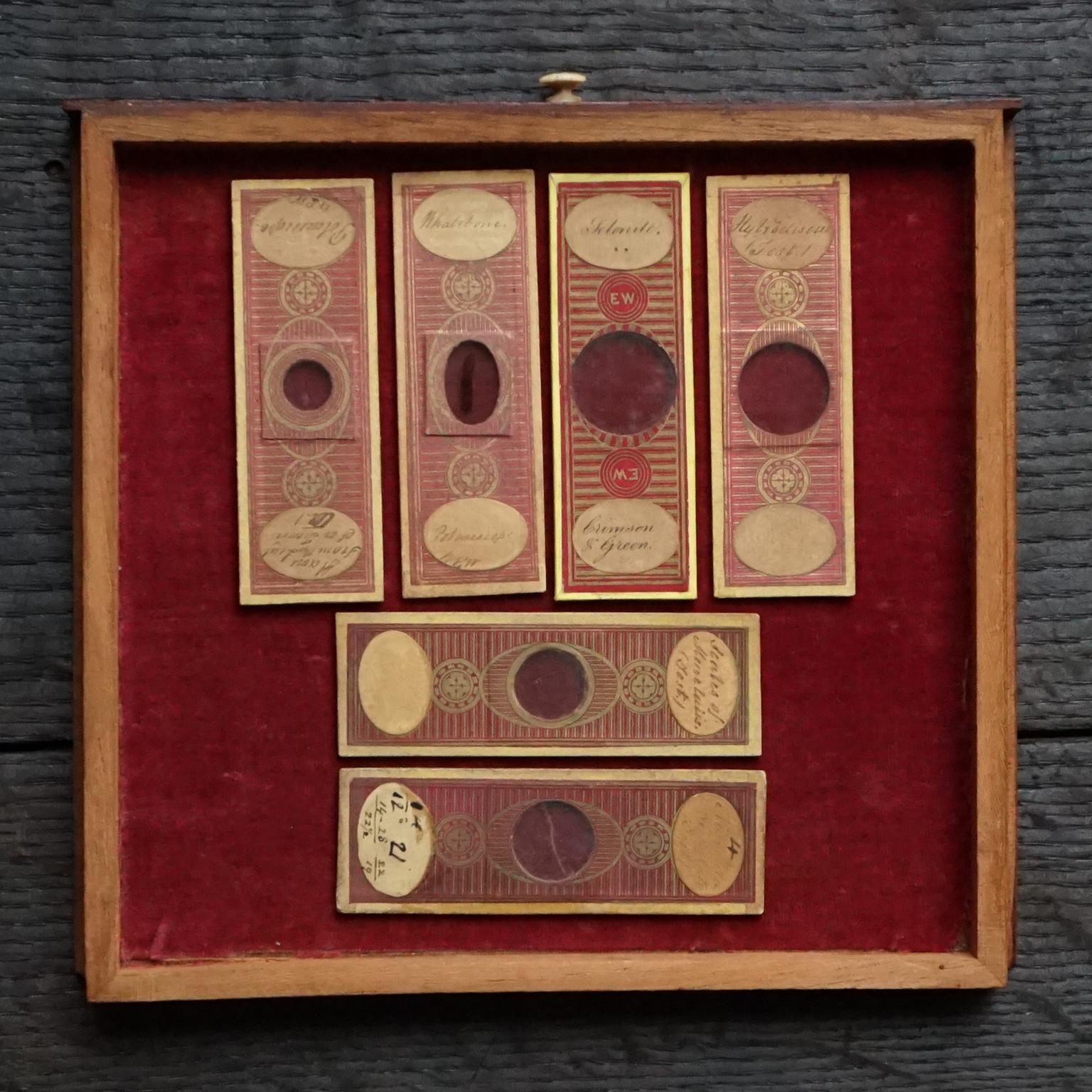 19th Century Victorian Mahogany Microscope Slide Cabinet, 12 Drawers, 72 Slides 9