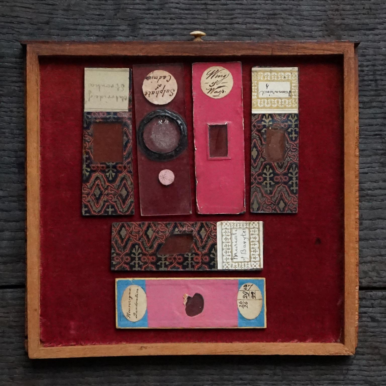 19th Century Victorian Mahogany Microscope Slide Cabinet, 12 Drawers, 72 Slides 10