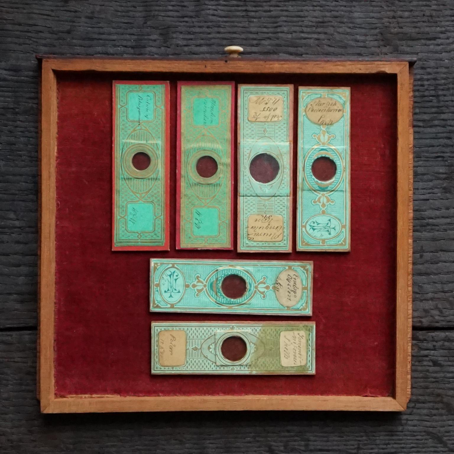 19th Century Victorian Mahogany Microscope Slide Cabinet, 12 Drawers, 72 Slides 12