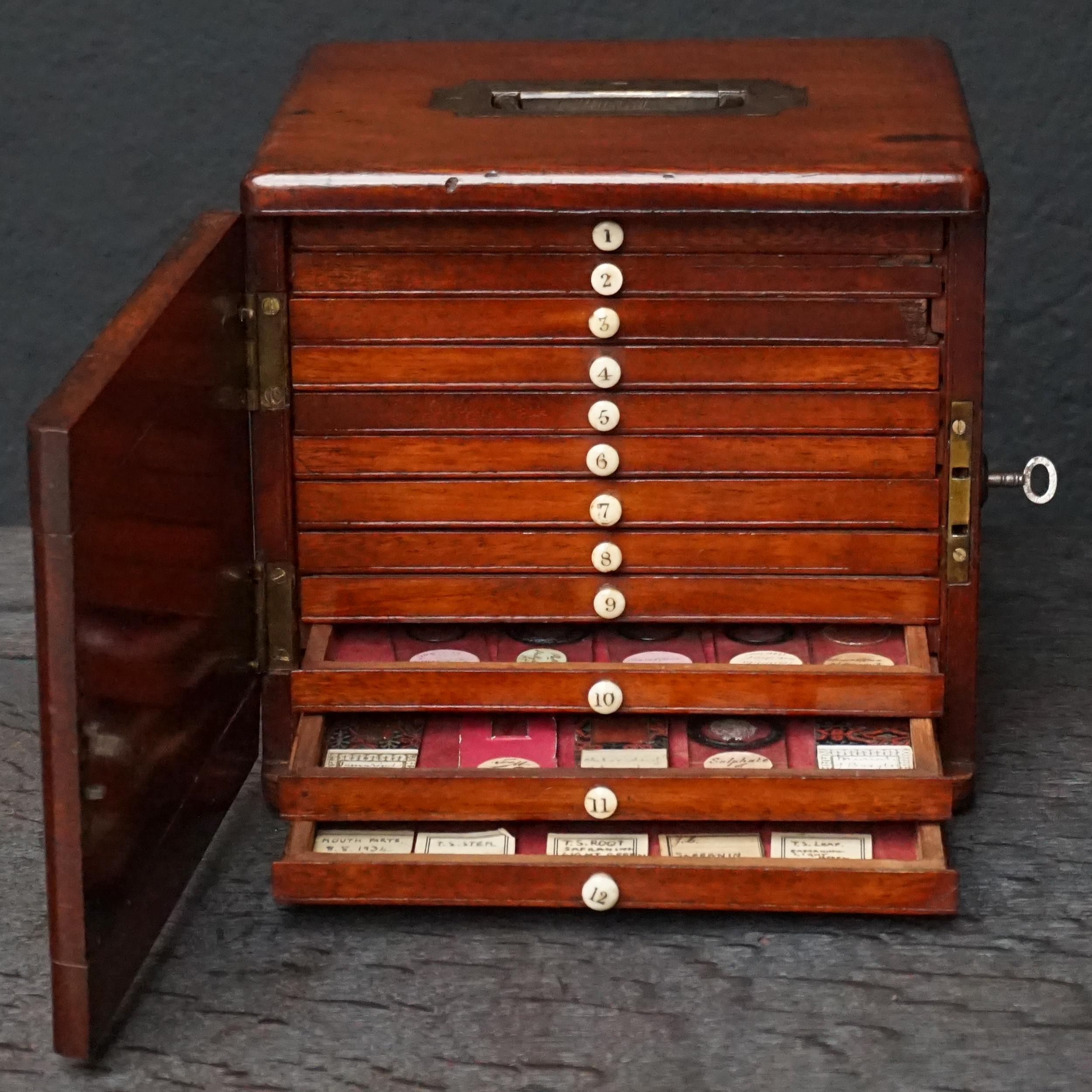19th Century Victorian Mahogany Microscope Slide Cabinet, 12 Drawers, 72 Slides 13