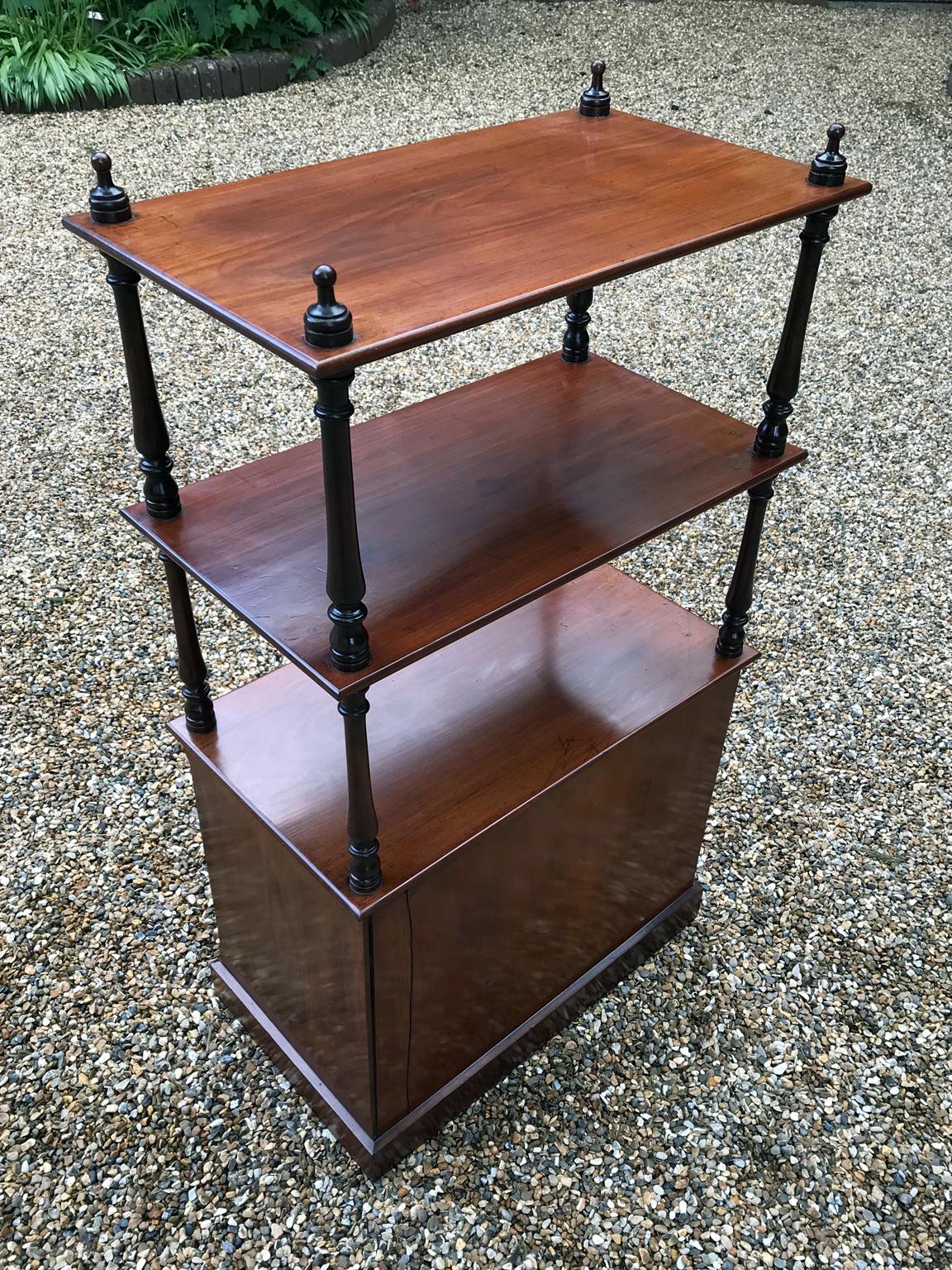 19th Century Victorian Mahogany Whatnot 2