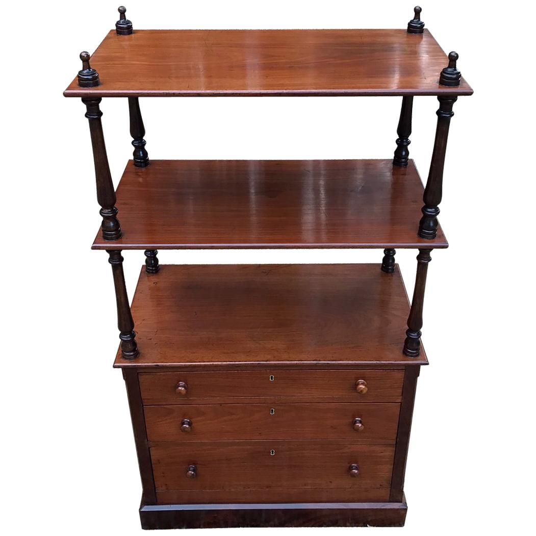 19th Century Victorian Mahogany Whatnot