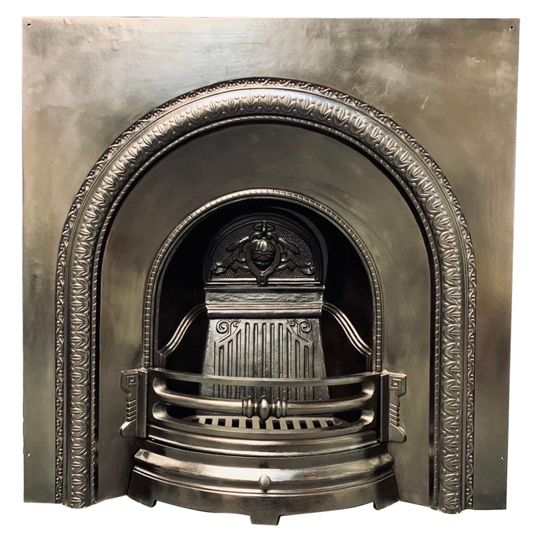 19th Century, Victorian Manner Cast Iron Arched Fireplace Insert