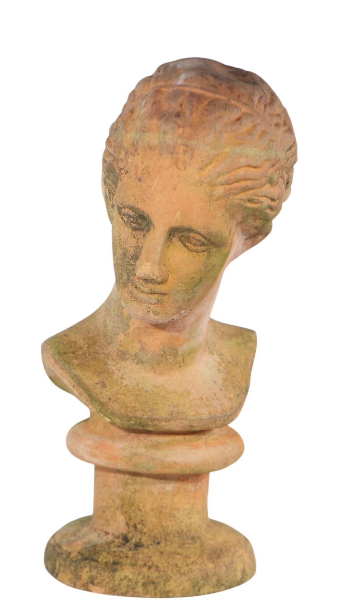 Neoclassical 19th Century Victorian Neo Classical Terracotta Bust For Sale