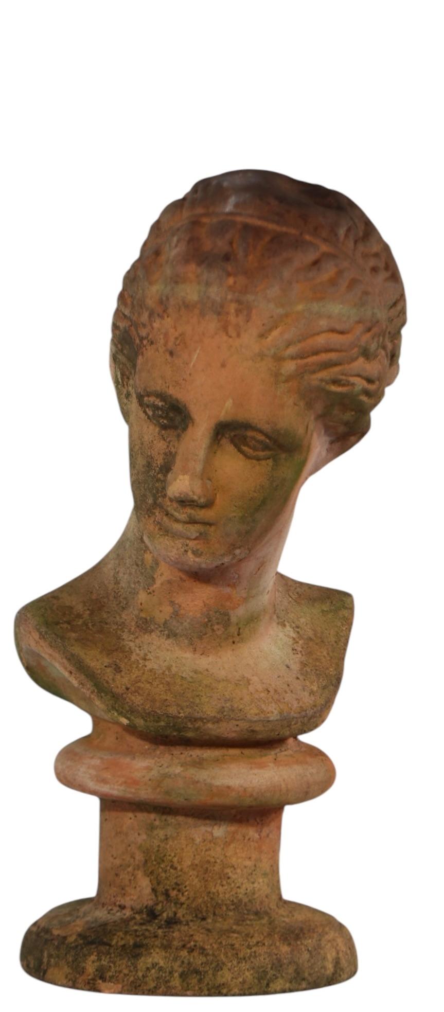 French 19th Century Victorian Neo Classical Terracotta Bust For Sale