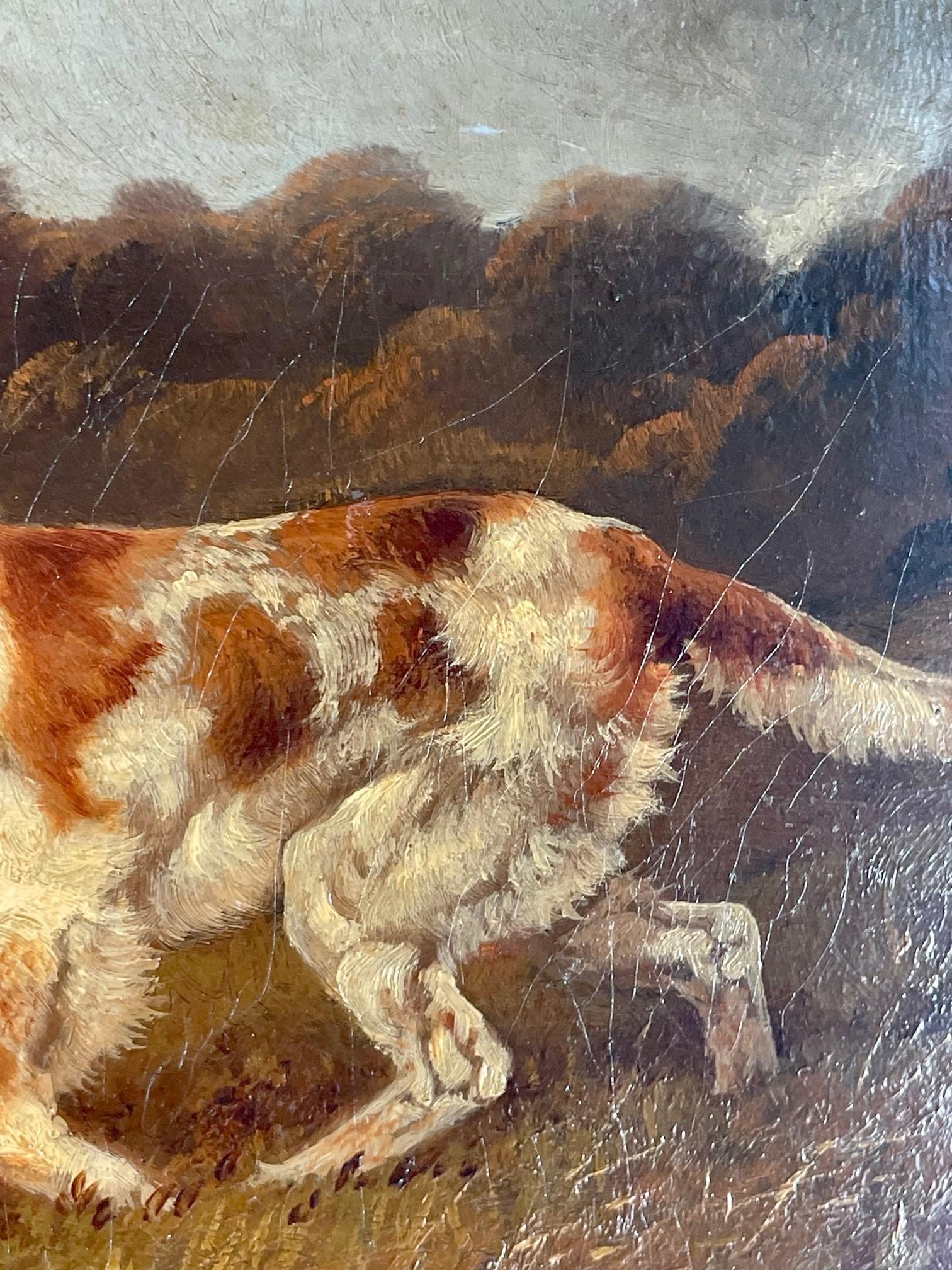 19th Century Victorian Oil Painting of English Setter, Robert Cleminson For Sale 8