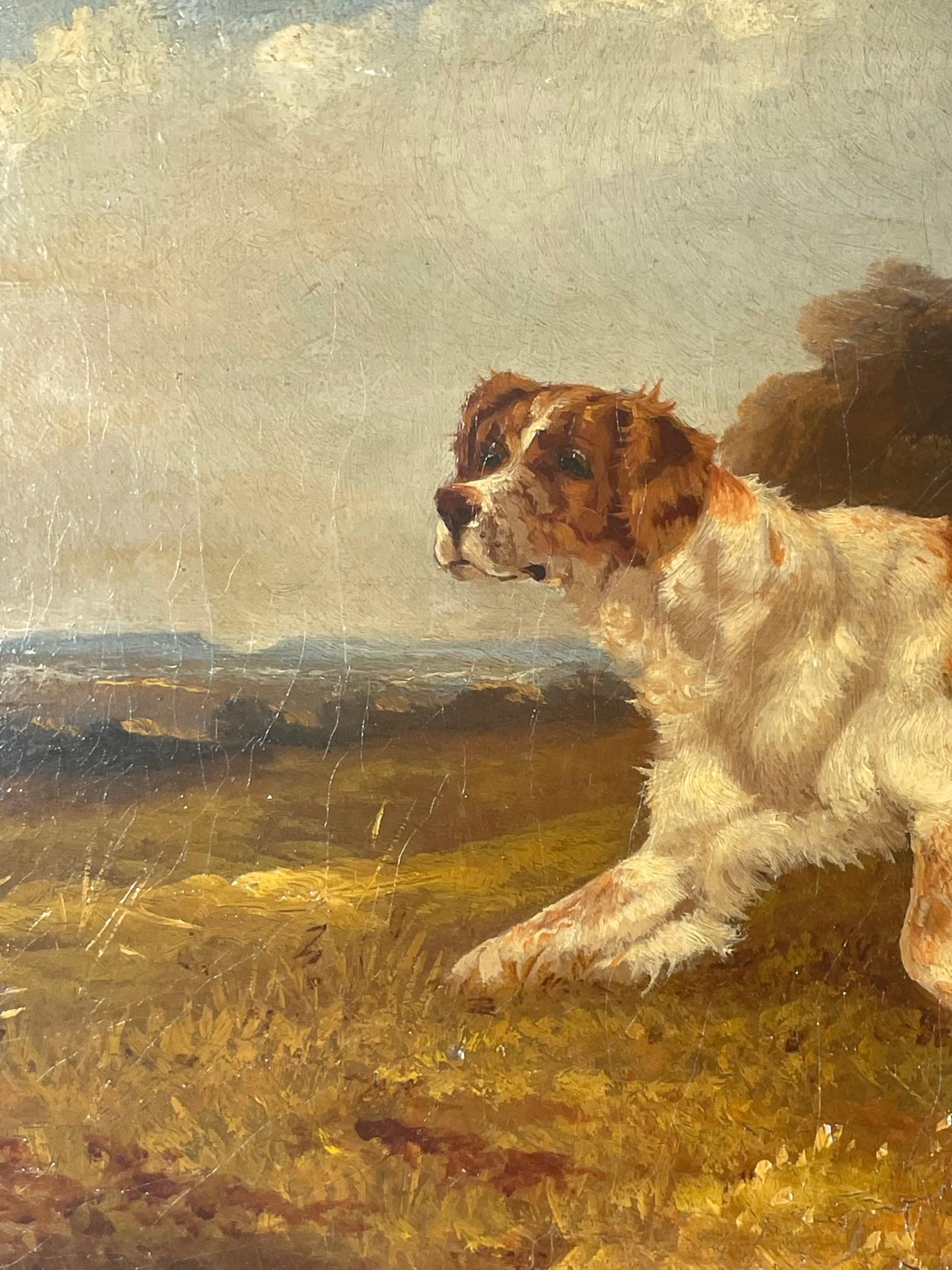 Pittura a olio vittoriana del XIX secolo raffigurante il Setter inglese Robert Cleminson. 5