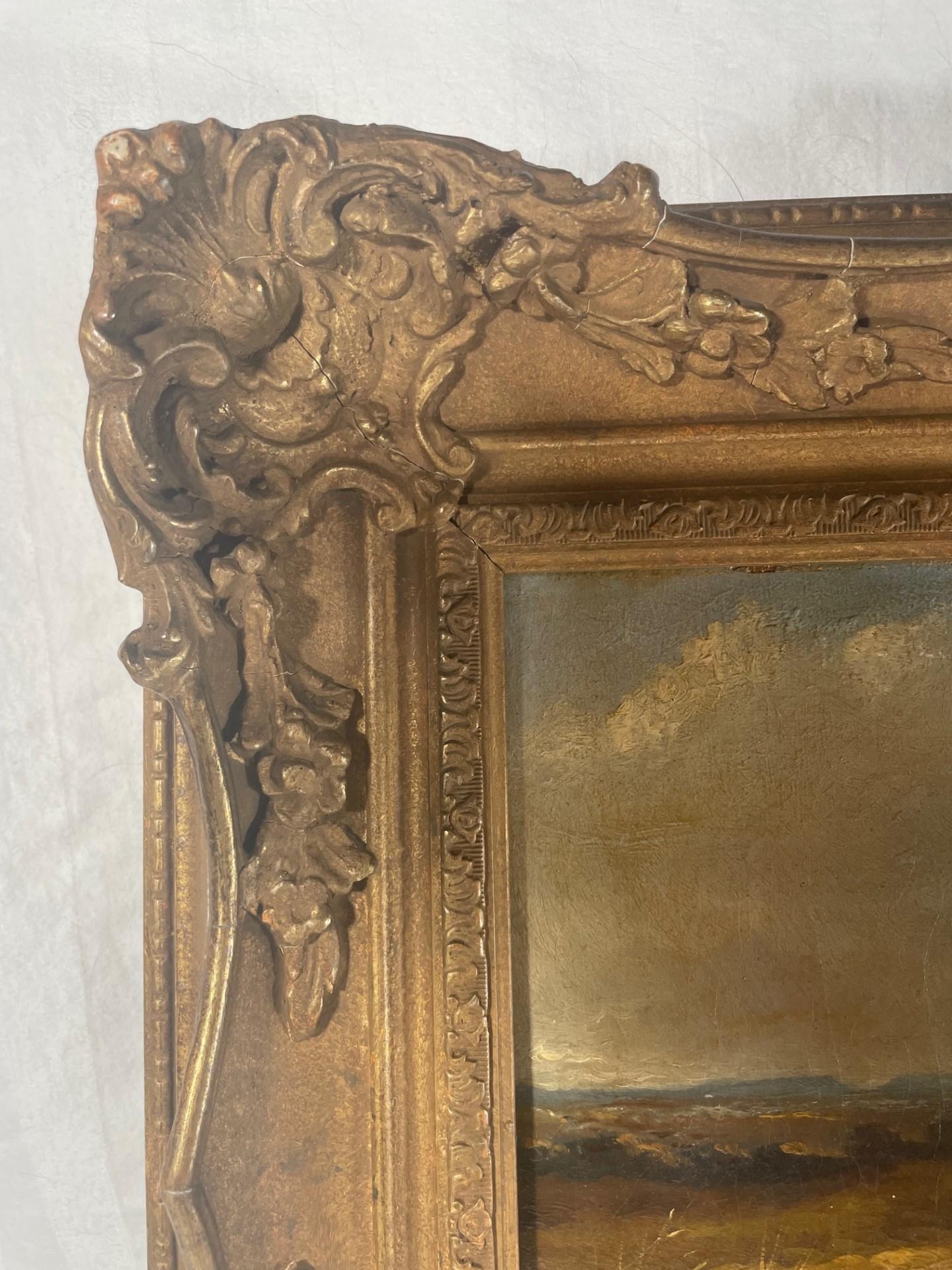 disegno setter inglese