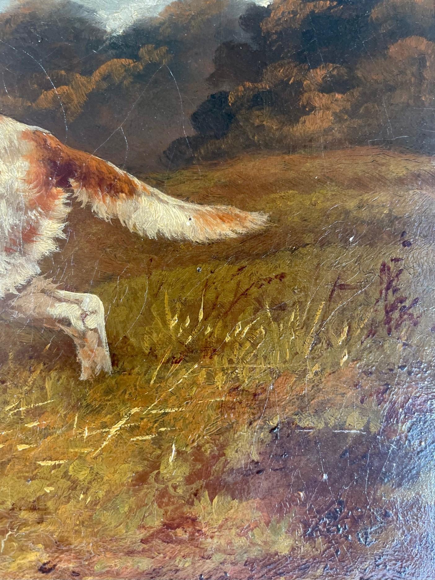 19th Century Victorian Oil Painting of English Setter, Robert Cleminson For Sale 2