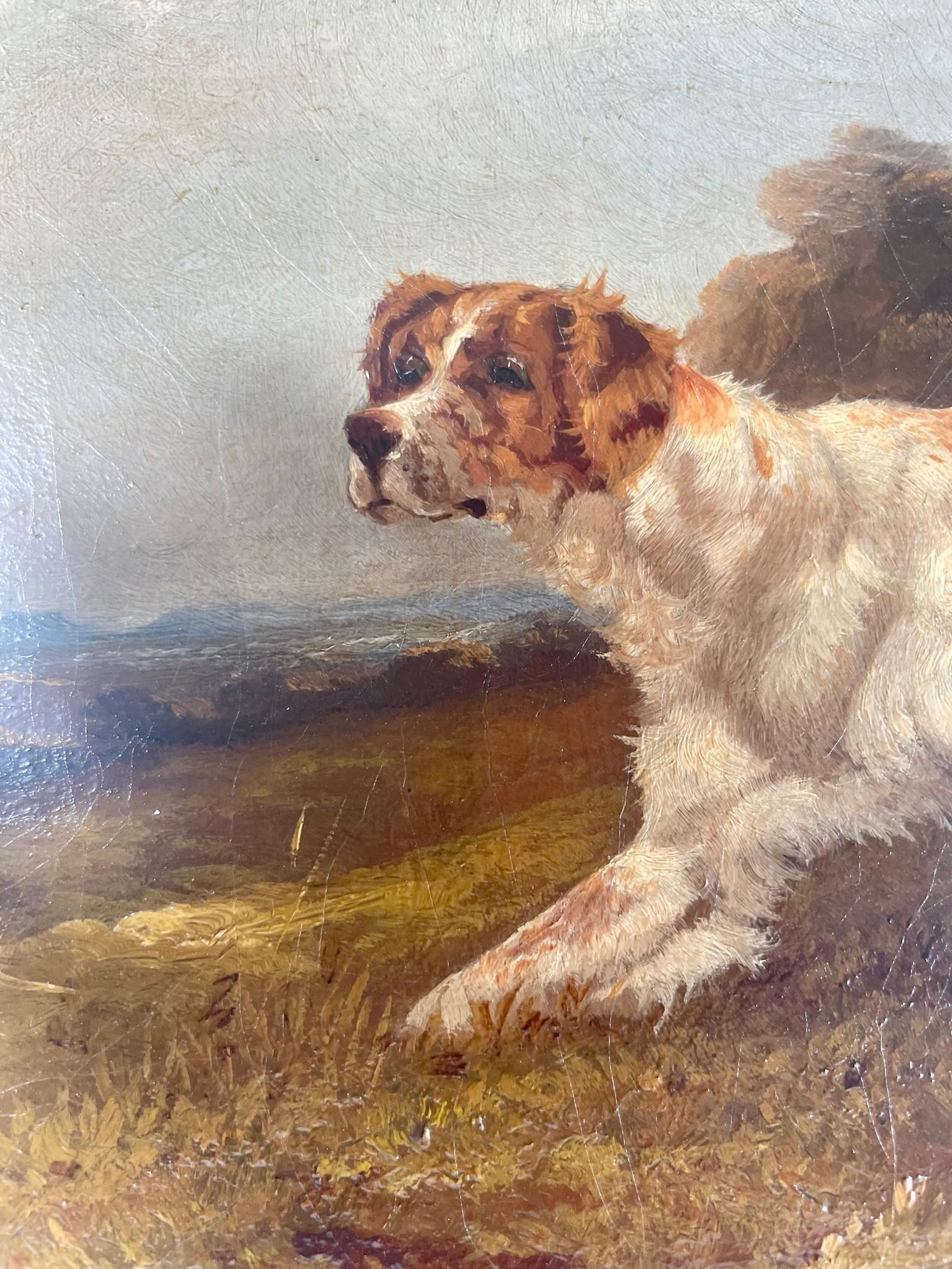 19th Century Victorian Oil Painting of English Setter, Robert Cleminson For Sale 3