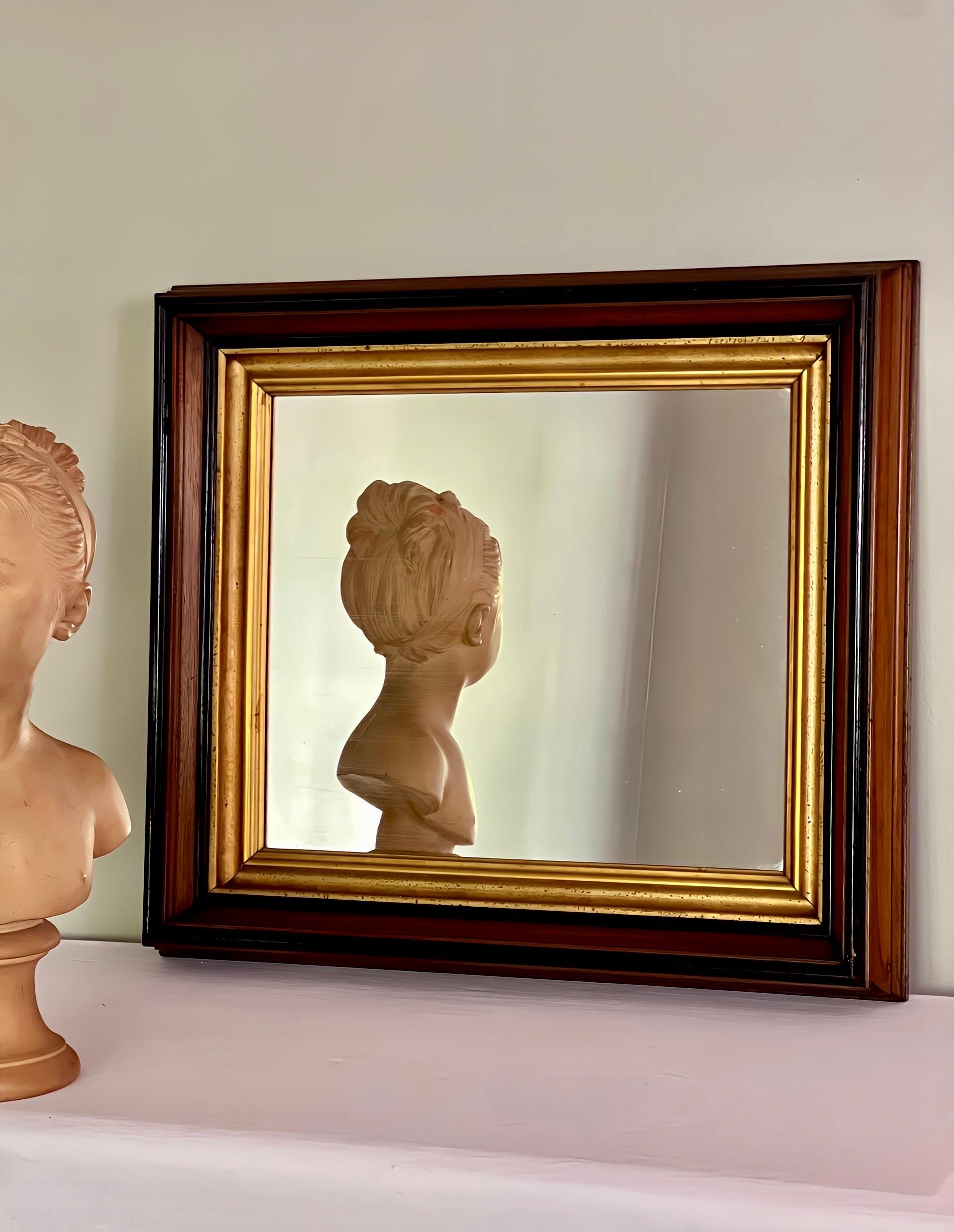 Meravigliosa specchiera vittoriana di qualità in noce ebanizzato e dorato con una cornice profonda, circa 1880.  Un'imponente cornice larga e profonda, splendidamente intagliata, offre un contrasto sorprendente con un bordo interno dorato e dettagli