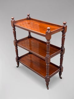19th Century Victorian Period Mahogany Dinner Wagon Buffet