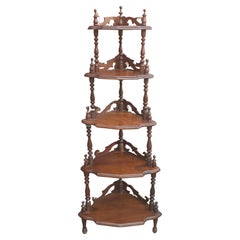 19th Century Victorian Rococo Style Mahogany Corner Etagere