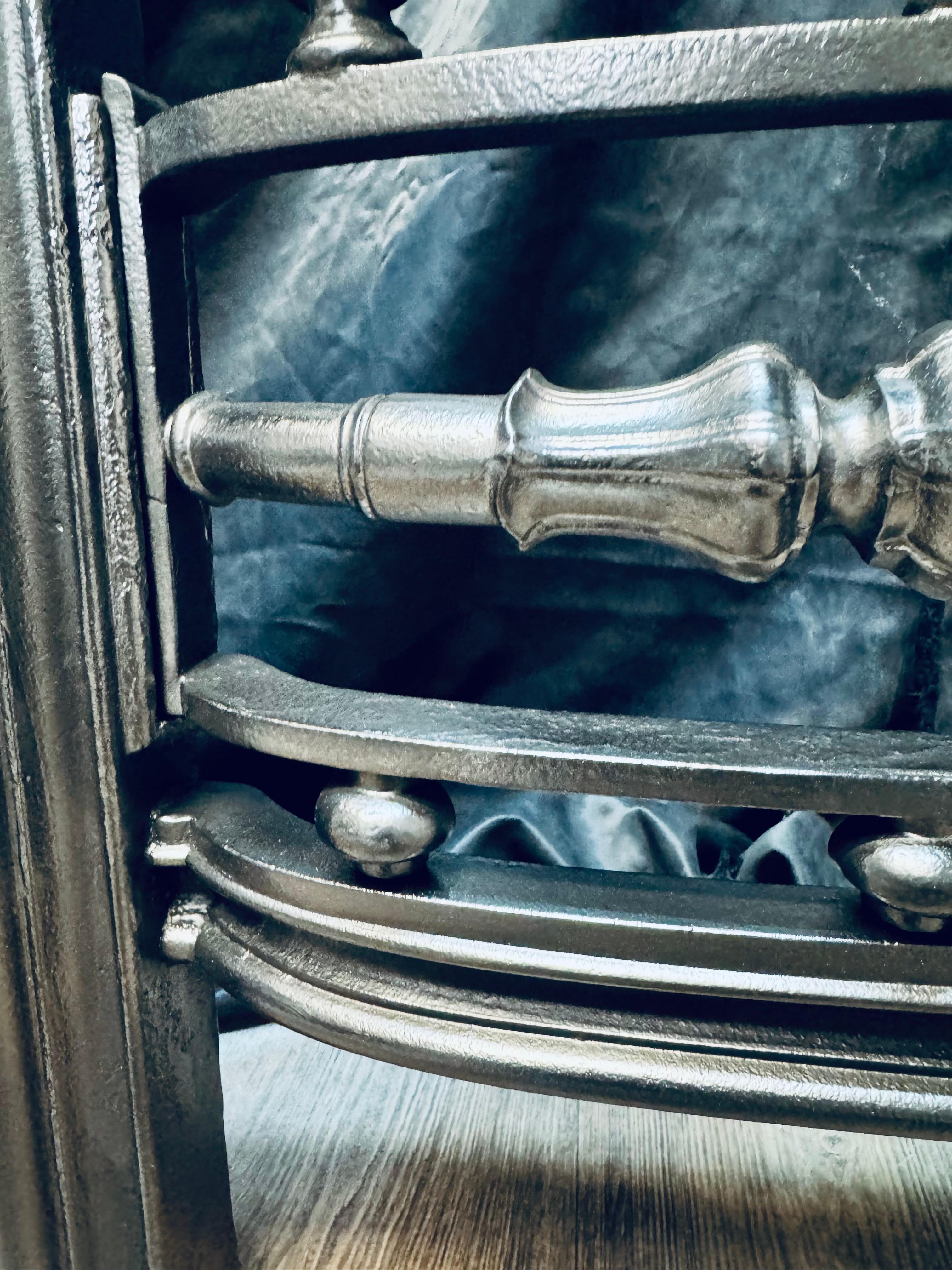 19th Century Victorian Scottish Cast Iron Fireplace Insert. For Sale 2