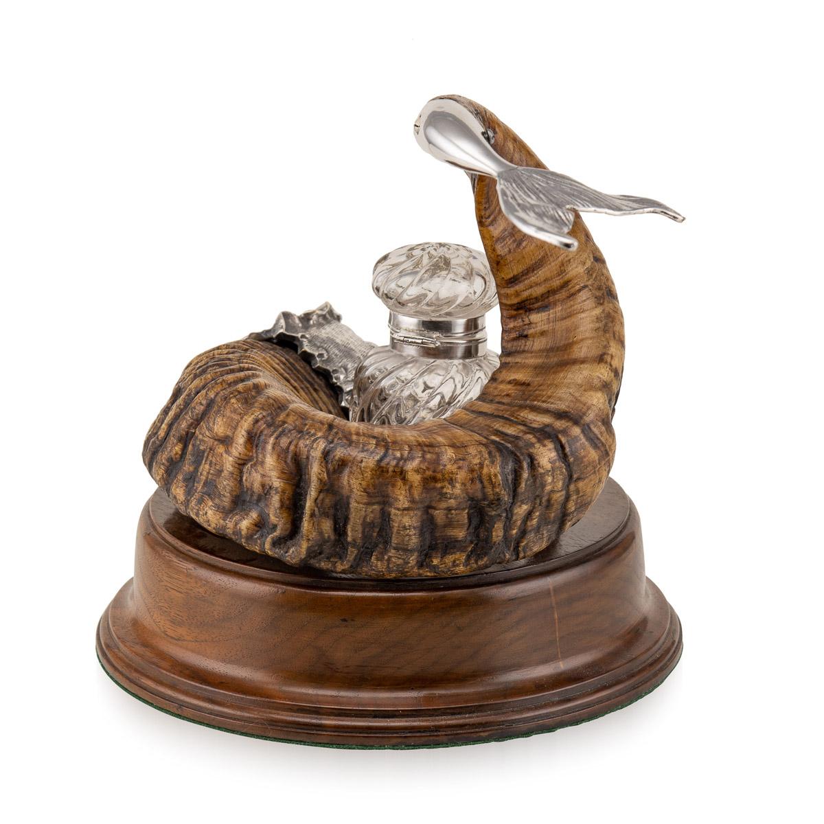 dolphin with horn