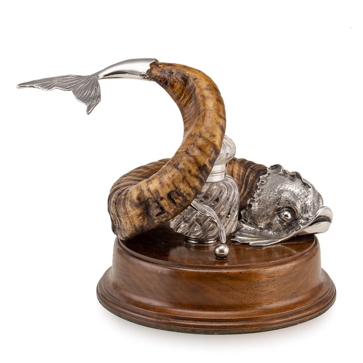 dolphin with a horn