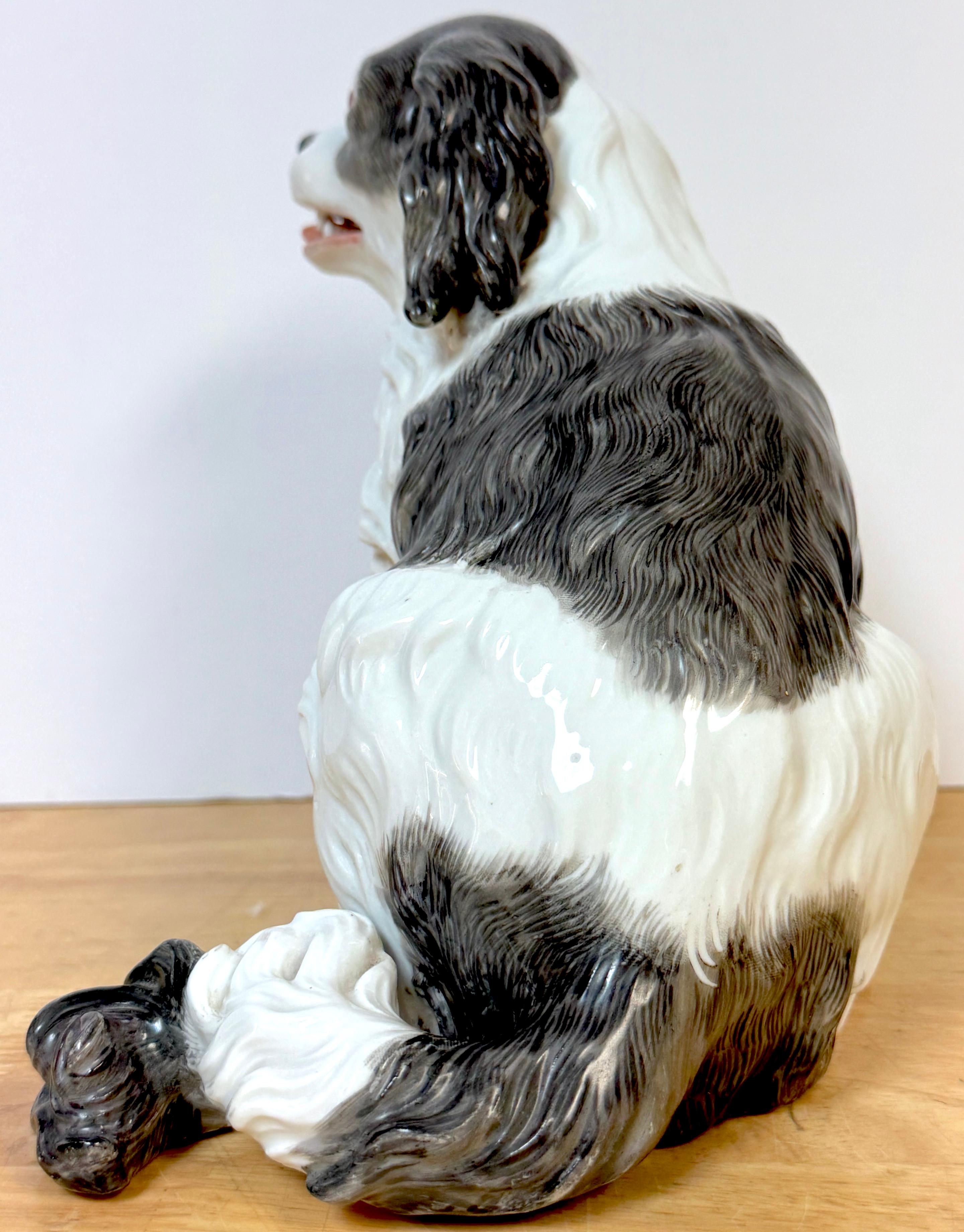 Modello in porcellana viennese del XIX secolo di un Charles Charles Spaniel in vendita 6