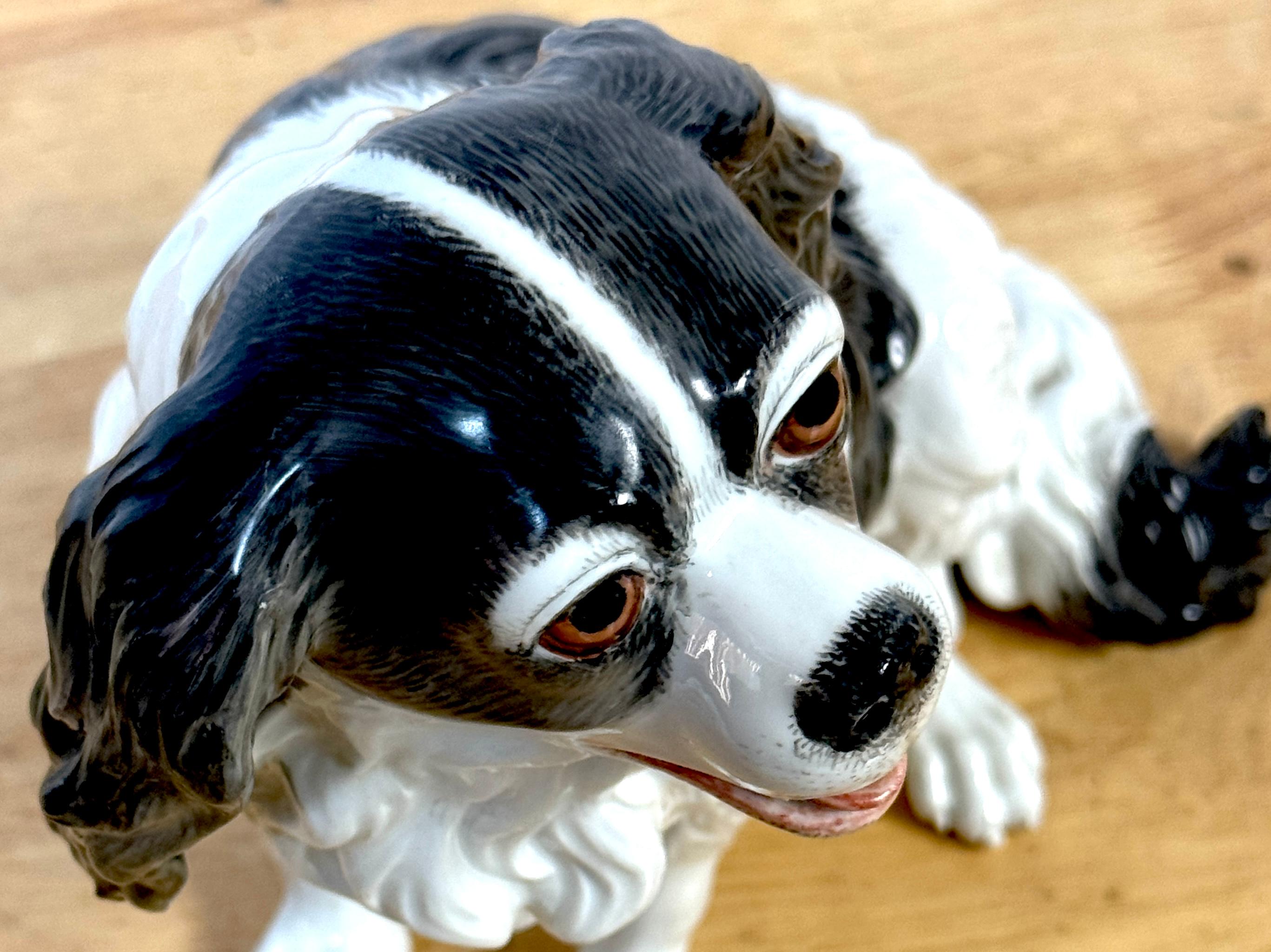 Modello in porcellana viennese del XIX secolo di un Charles Charles Spaniel in vendita 8