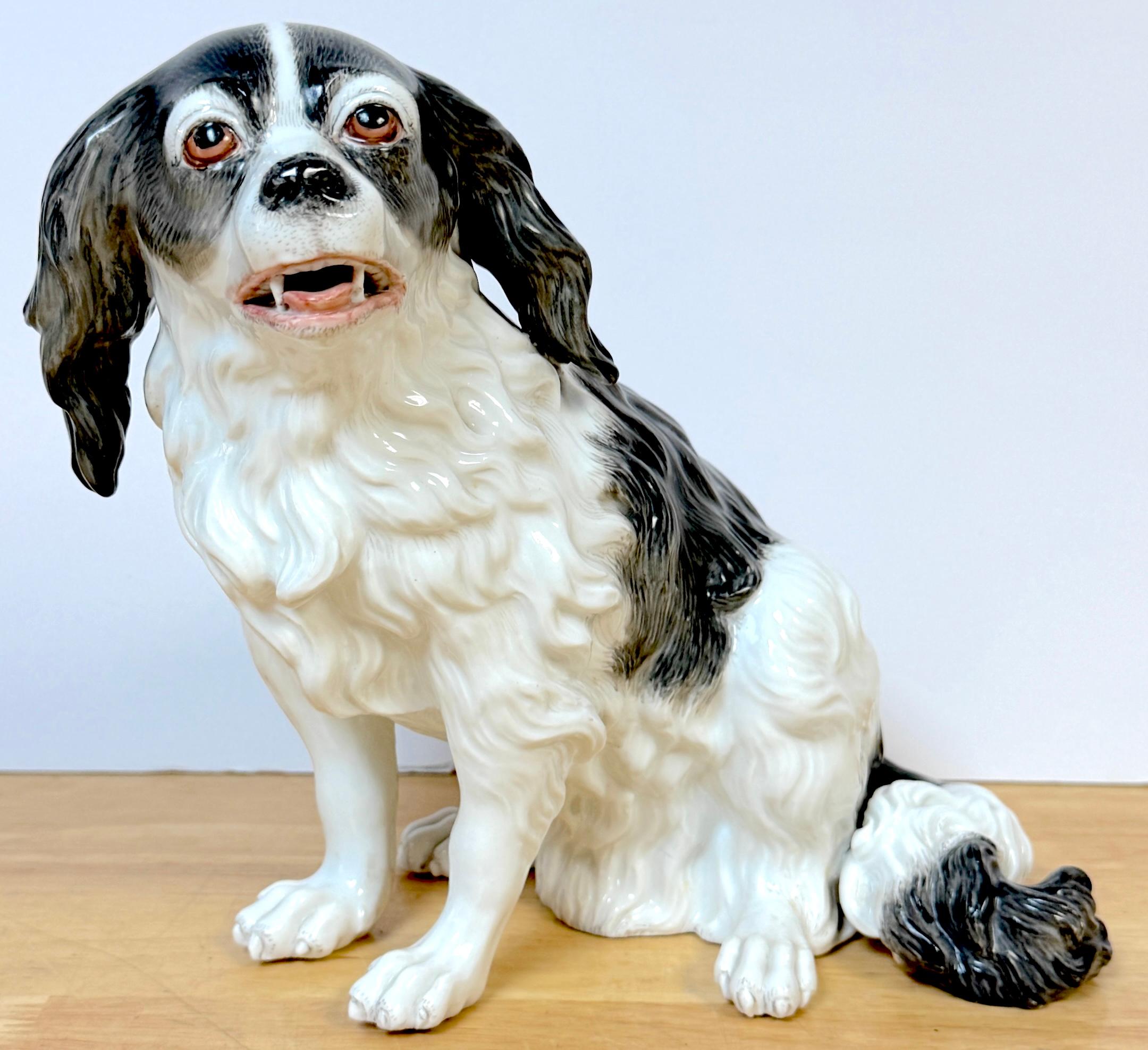 Modello in porcellana viennese del XIX secolo di un Charles Charles Spaniel 

Austria, metà del XIX secolo 

Questo squisito modello di porcellana viennese del XIX secolo raffigurante un Charles Charles Spaniel è un esempio di raffinata arte europea