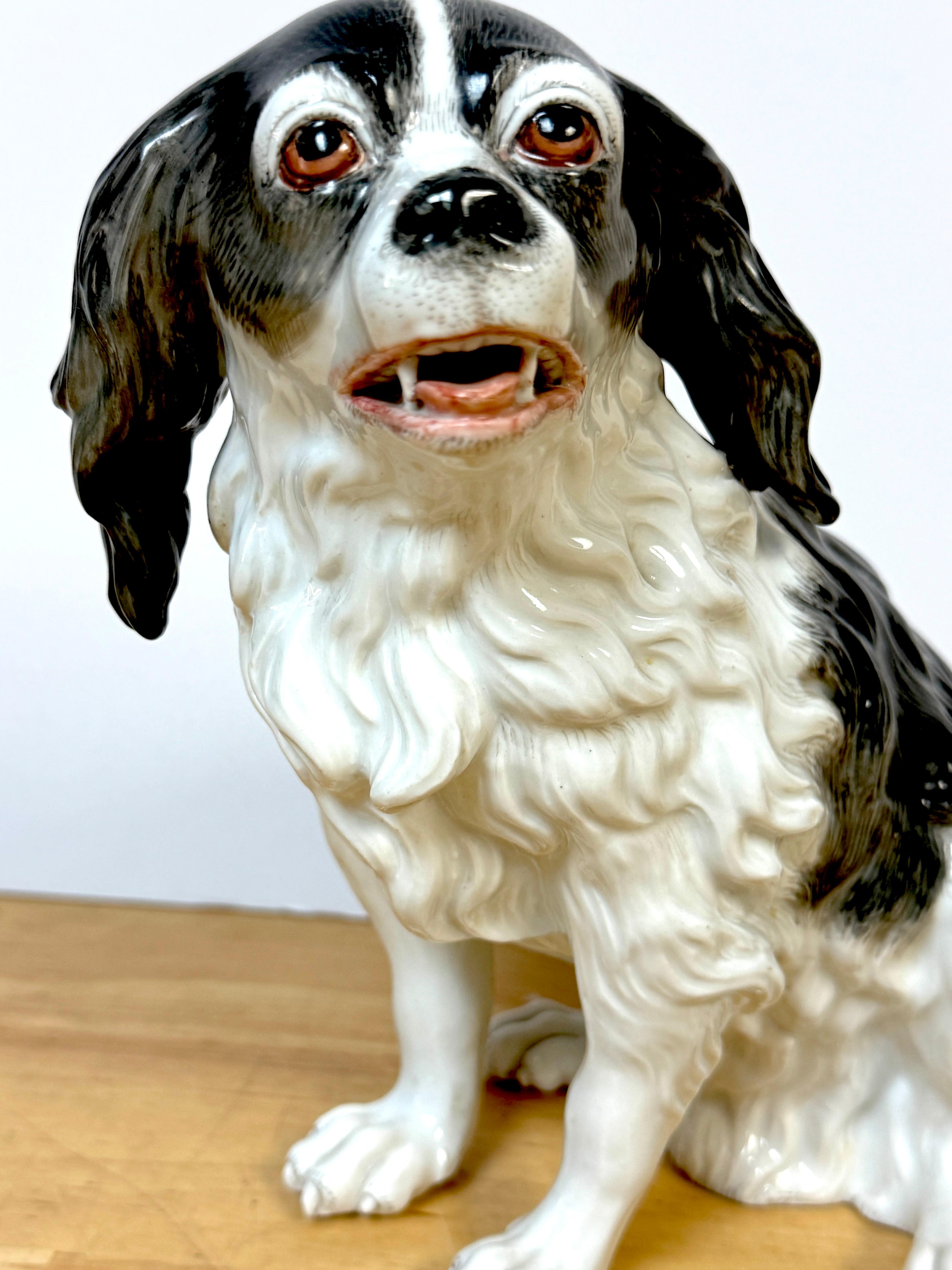 Austriaco Modello in porcellana viennese del XIX secolo di un Charles Charles Spaniel in vendita