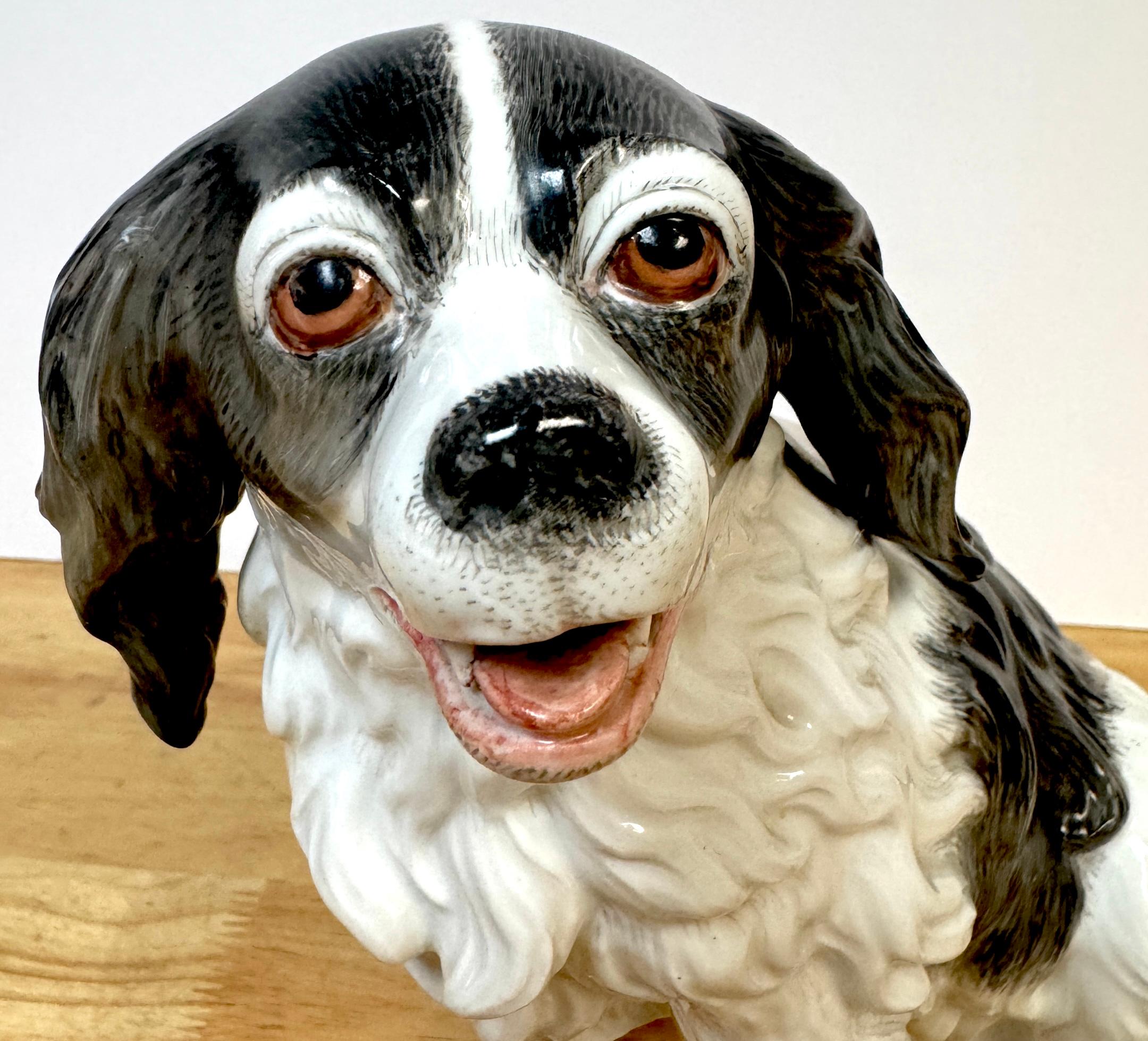 Dipinto a mano Modello in porcellana viennese del XIX secolo di un Charles Charles Spaniel in vendita