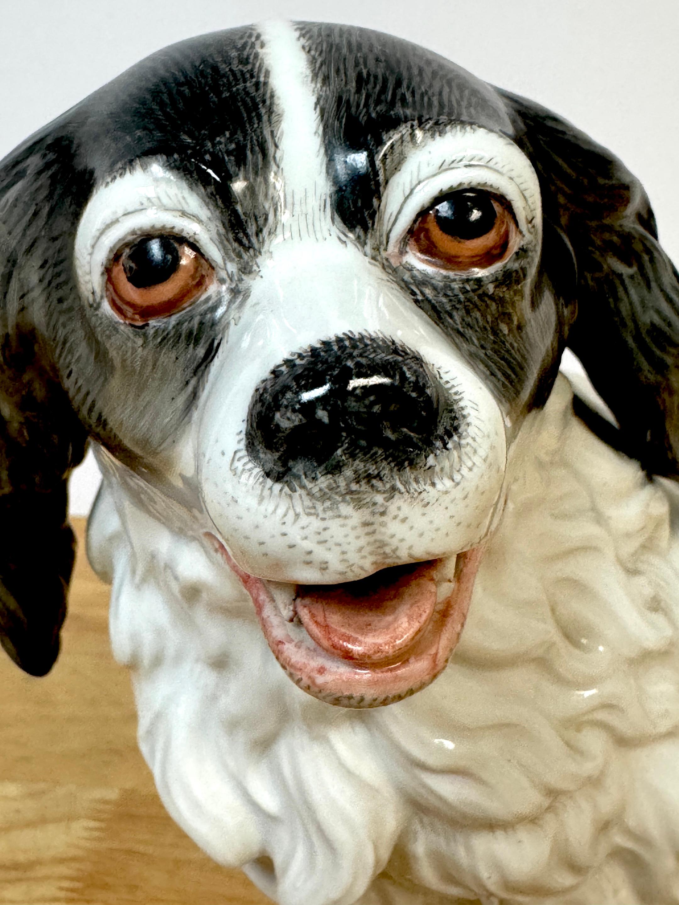 Modello in porcellana viennese del XIX secolo di un Charles Charles Spaniel In condizioni buone in vendita a West Palm Beach, FL