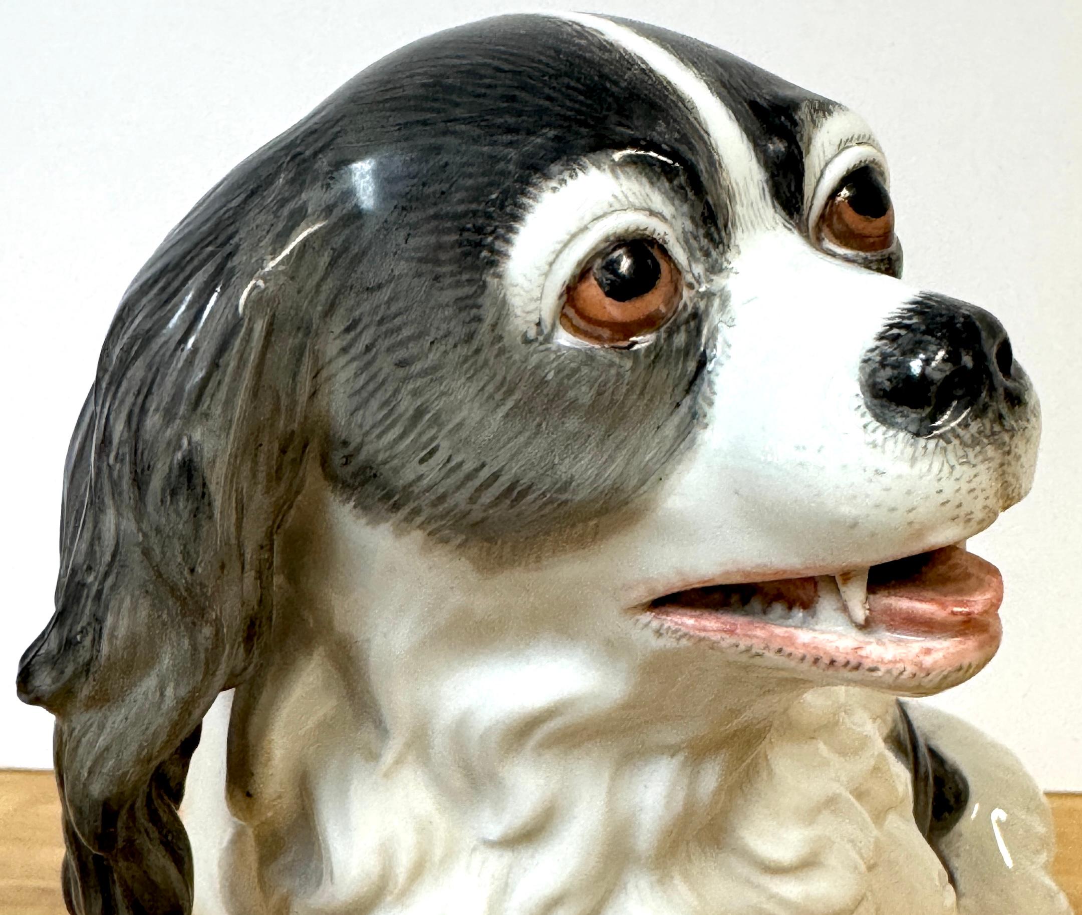 Porcellana Modello in porcellana viennese del XIX secolo di un Charles Charles Spaniel in vendita