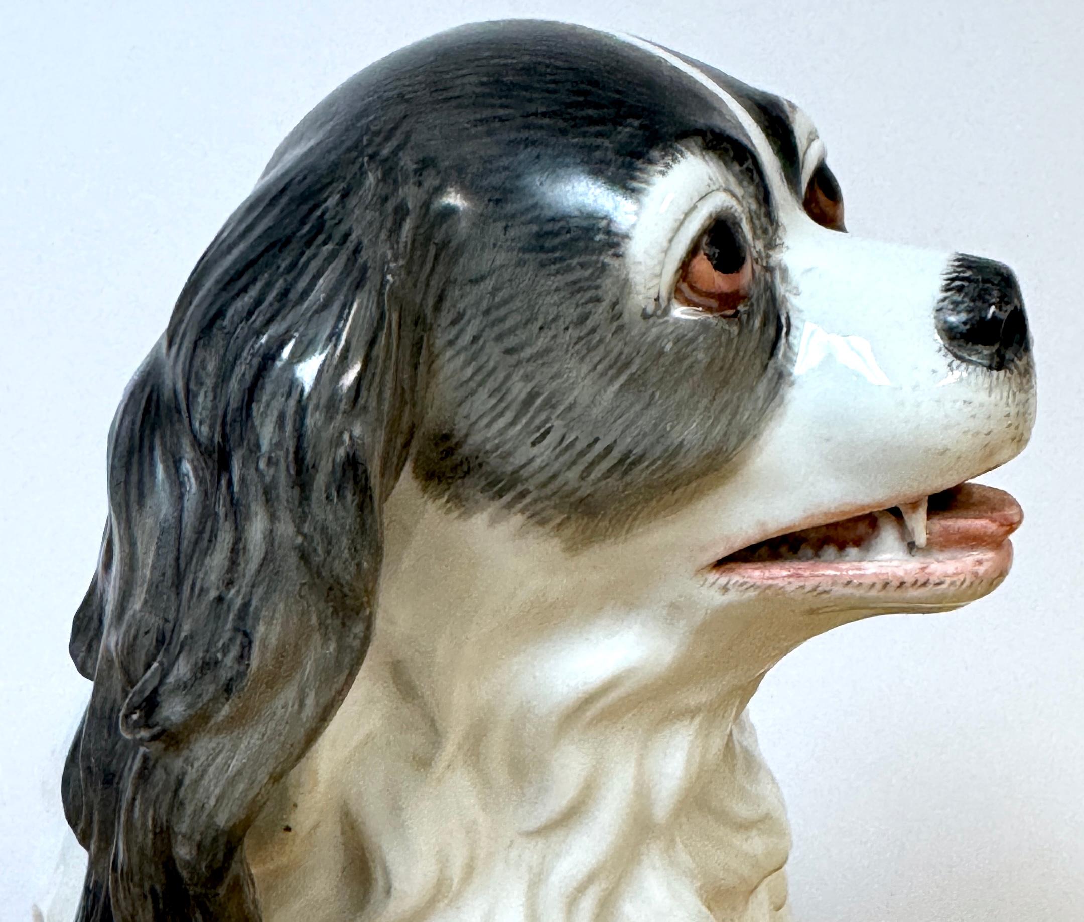 Modello in porcellana viennese del XIX secolo di un Charles Charles Spaniel in vendita 2