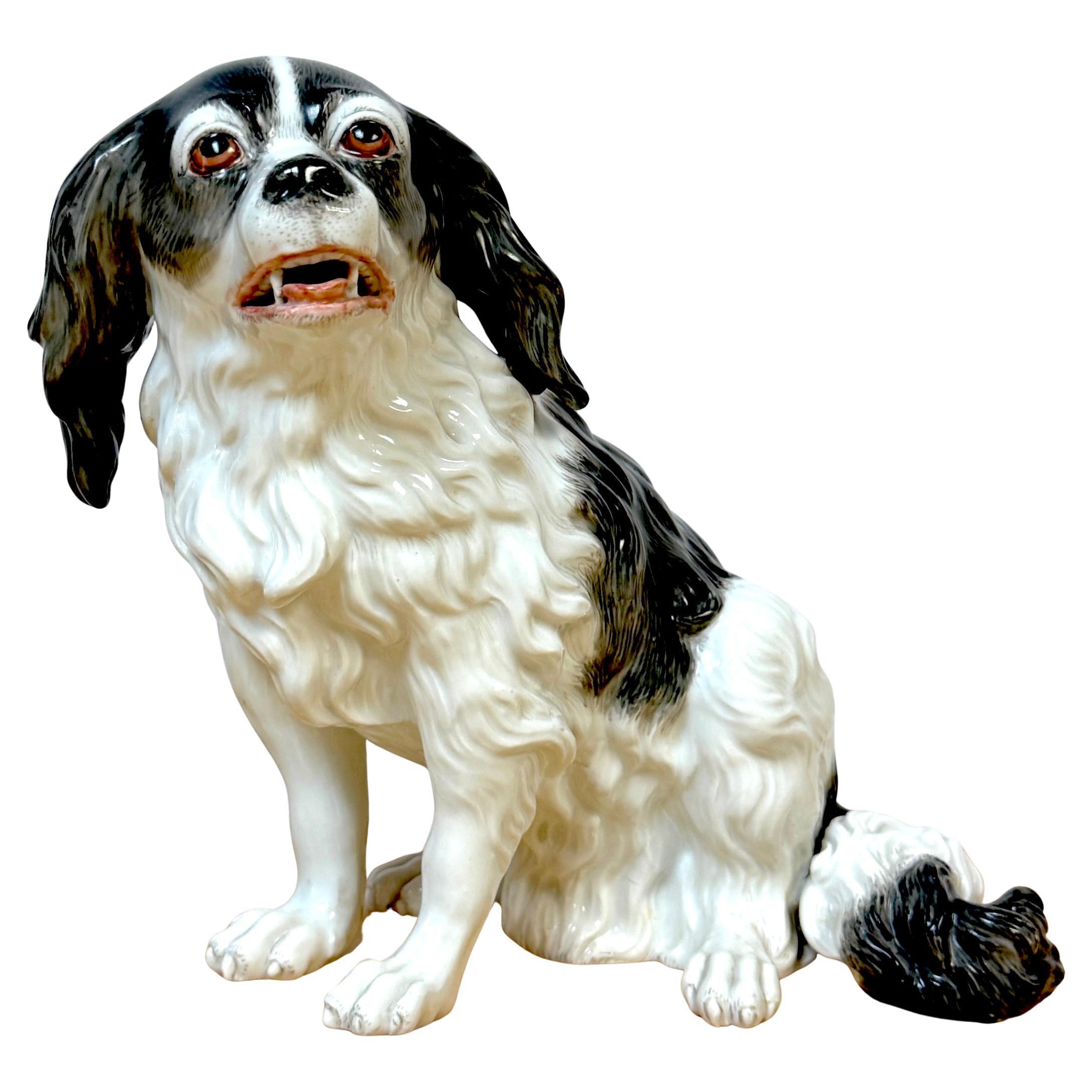 19th Century Vienna Porcelain Model of a King Charles Spaniel
