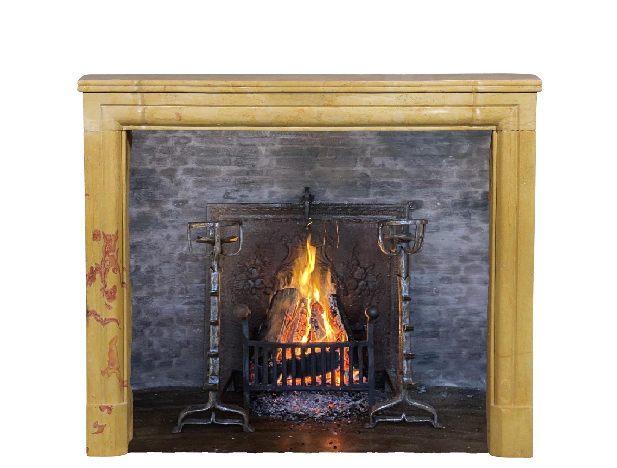 19th Century Vintage French Multi-Color Small Fireplace Surround For Sale 6