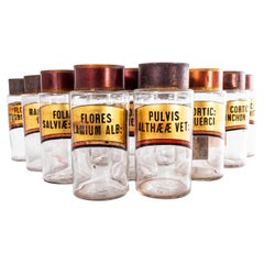 19th Century Vintage Pharmacy Jars French (Large Lid)