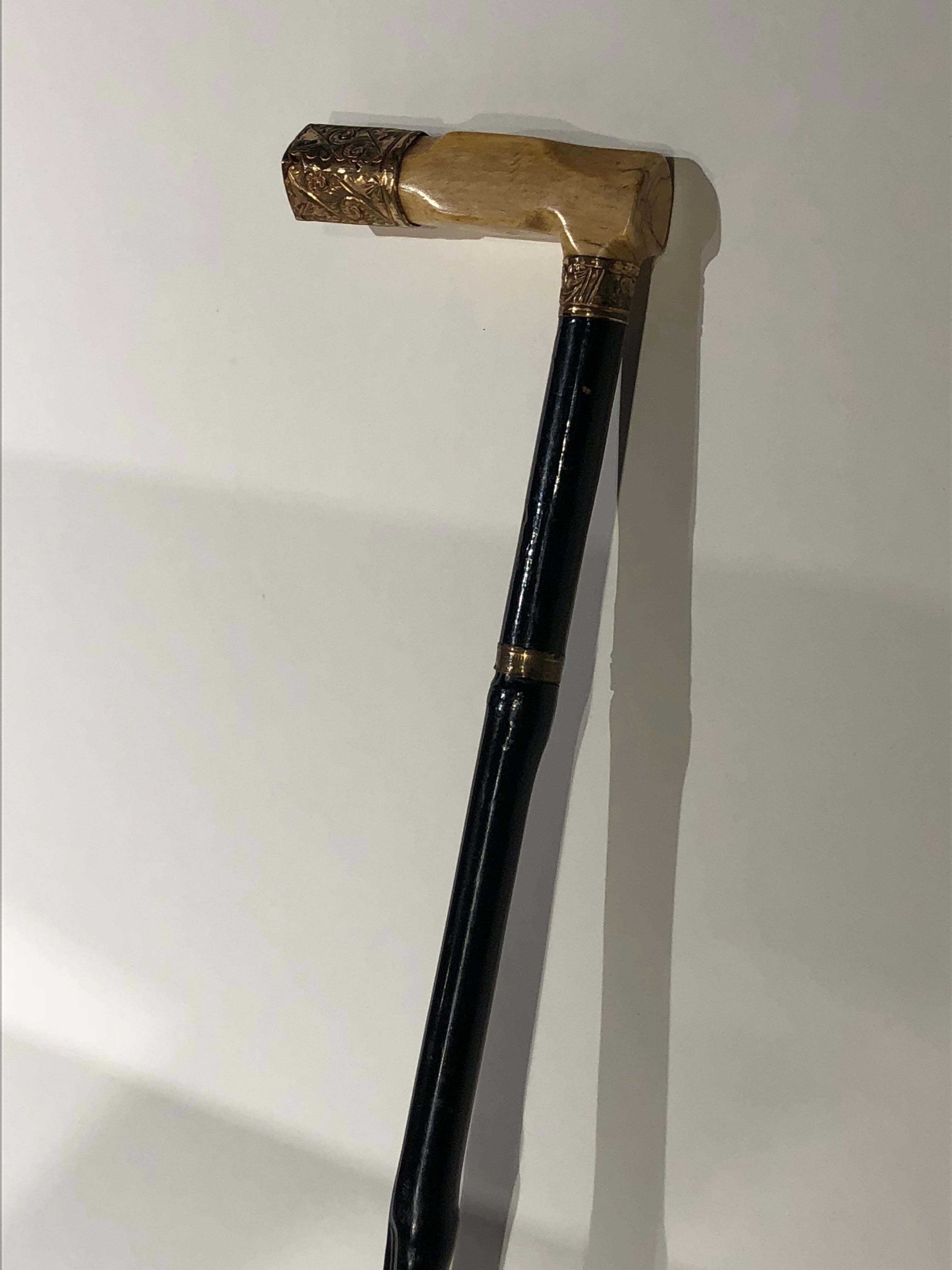 19th Century Walking Stick, Bone Handle at 1stDibs