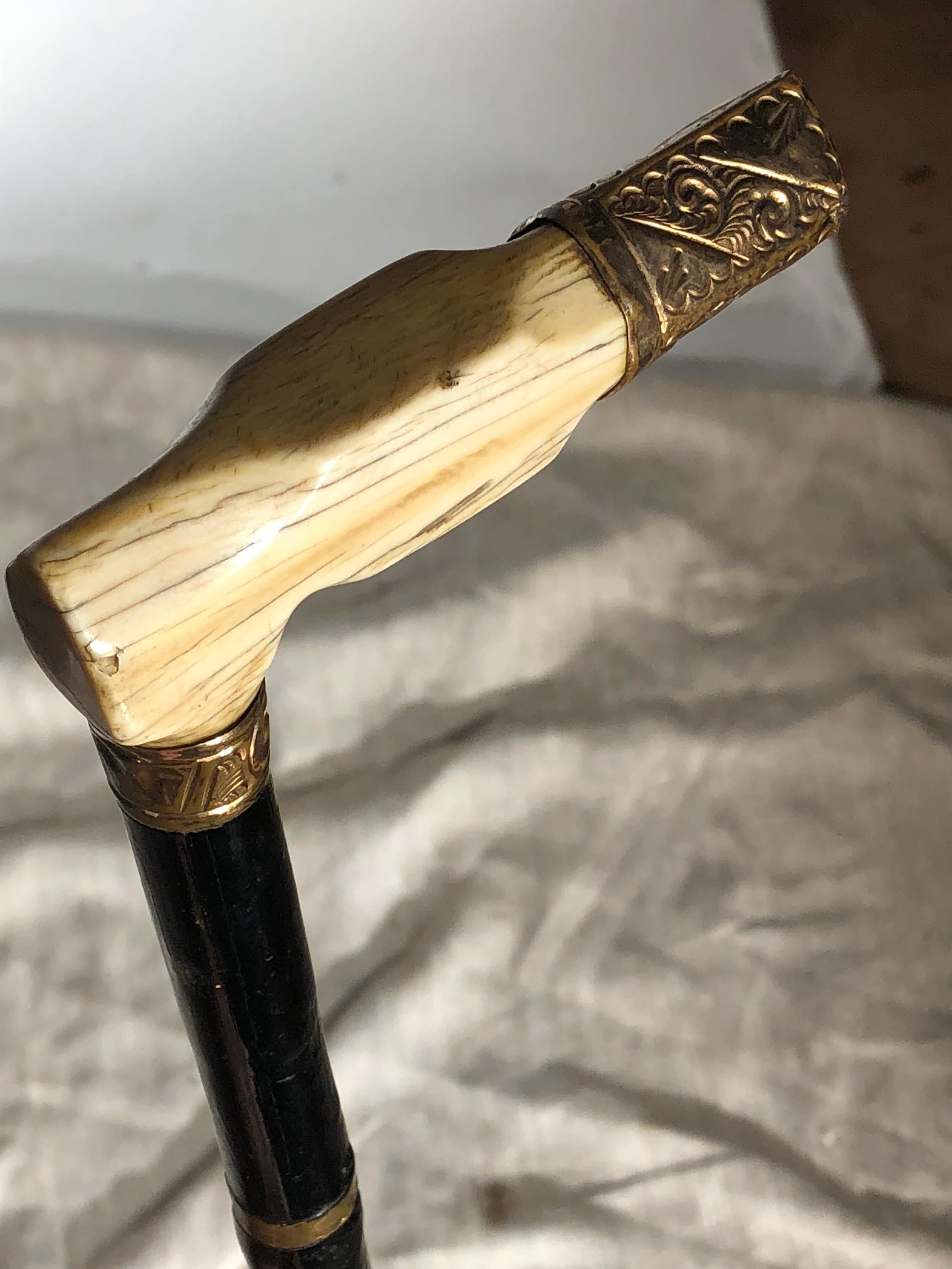 19th Century Walking Stick, Bone Handle at 1stDibs