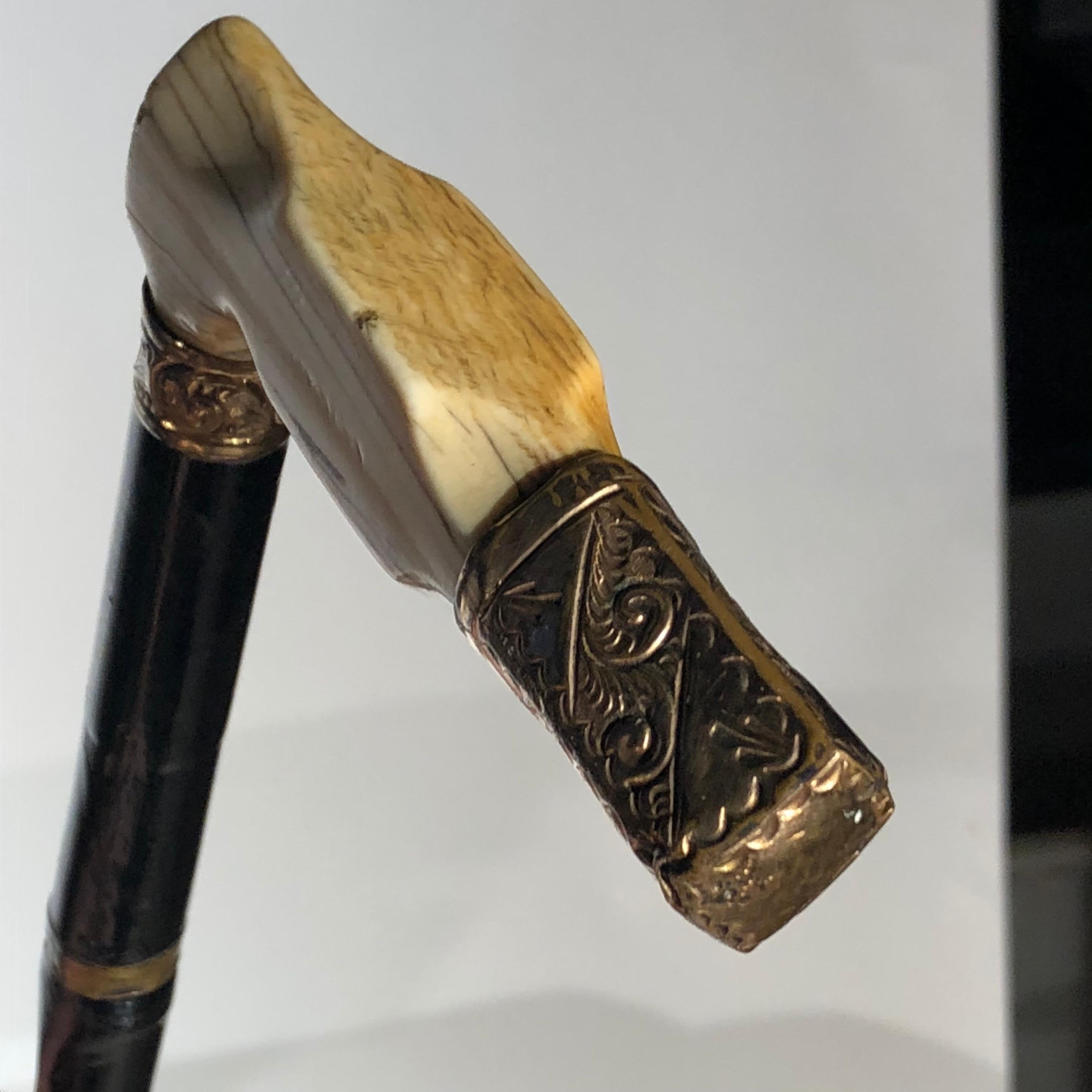19th Century Walking Stick, Bone Handle at 1stDibs
